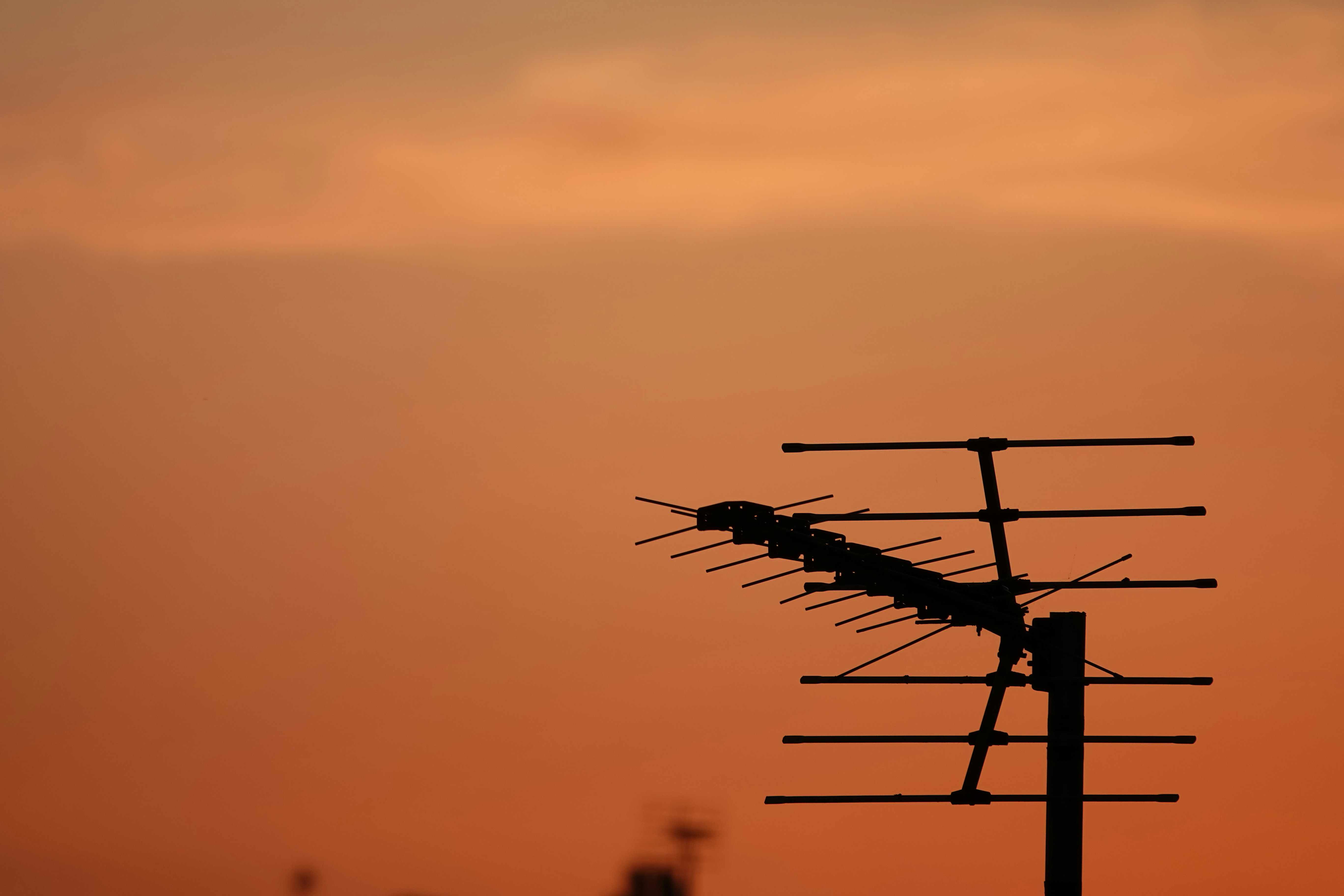 Photo by priyankachechi29