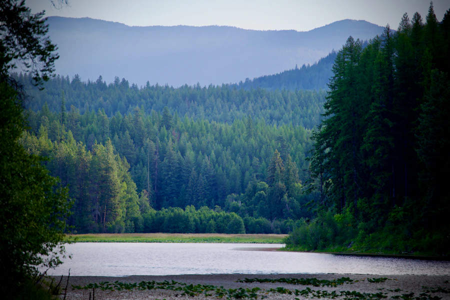 Lake and lush forest meeting serene mountains in North Idaho