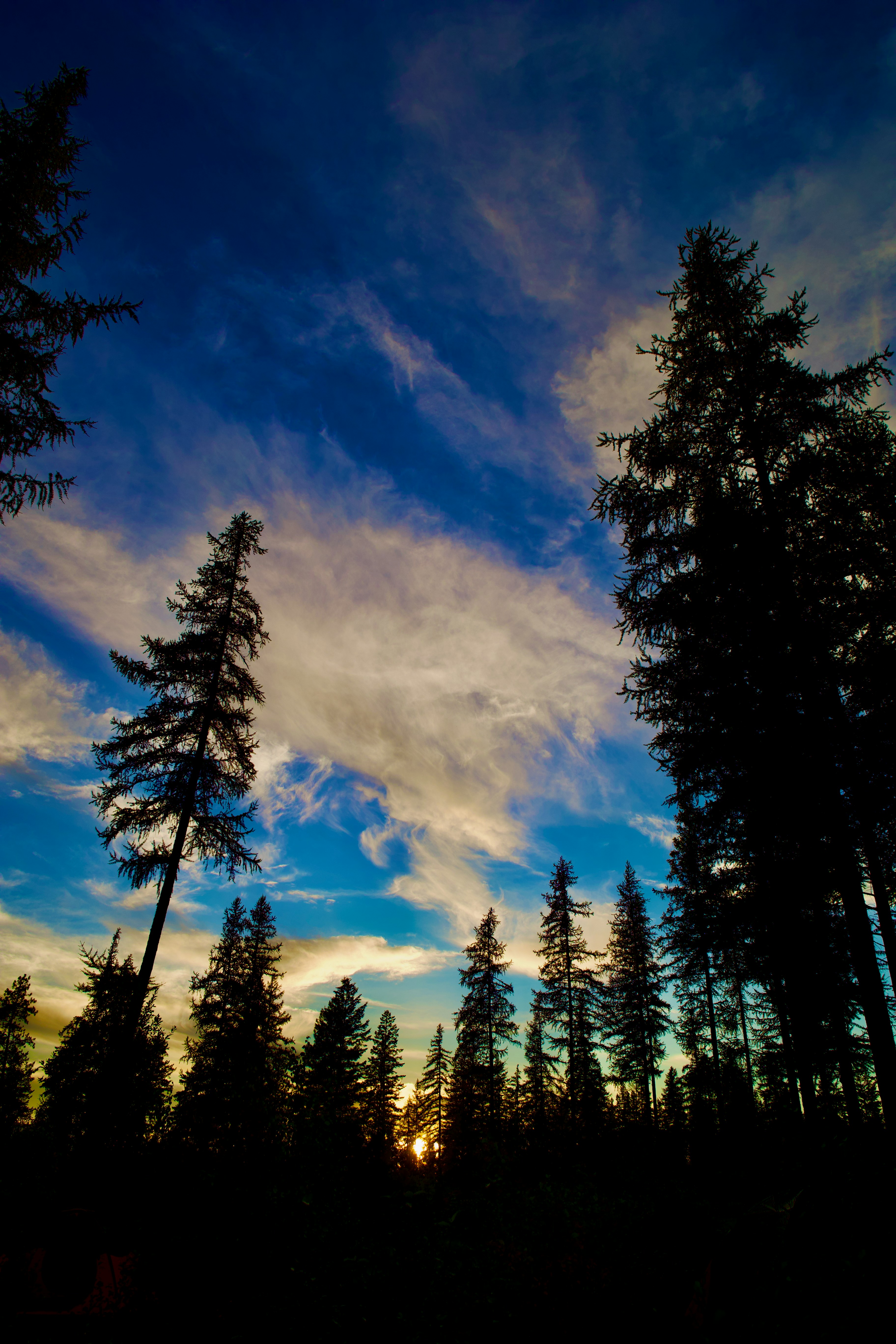 Photo by city2forest