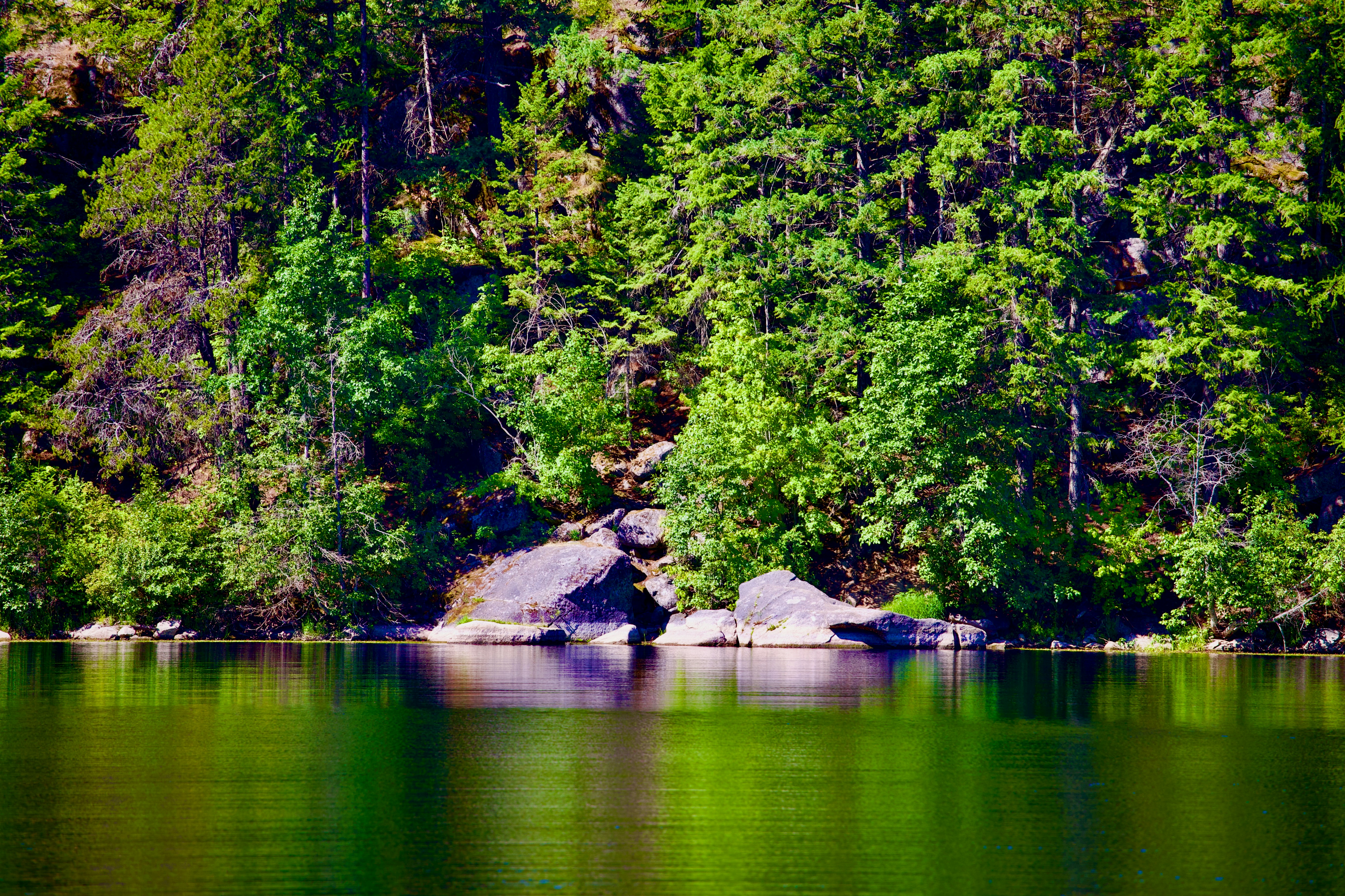 Photo by city2forest