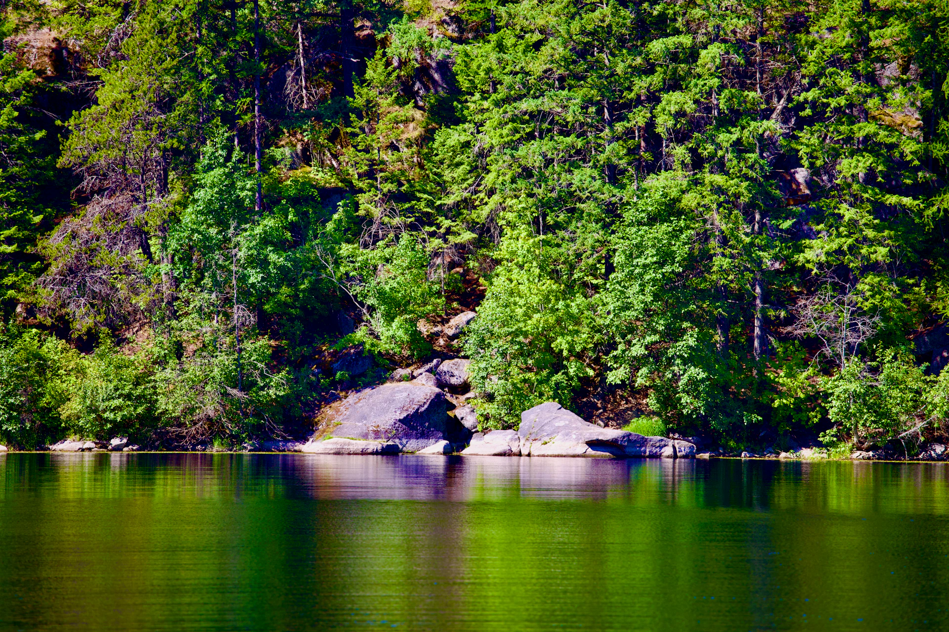 Lush green trees and a calm lake are visible.