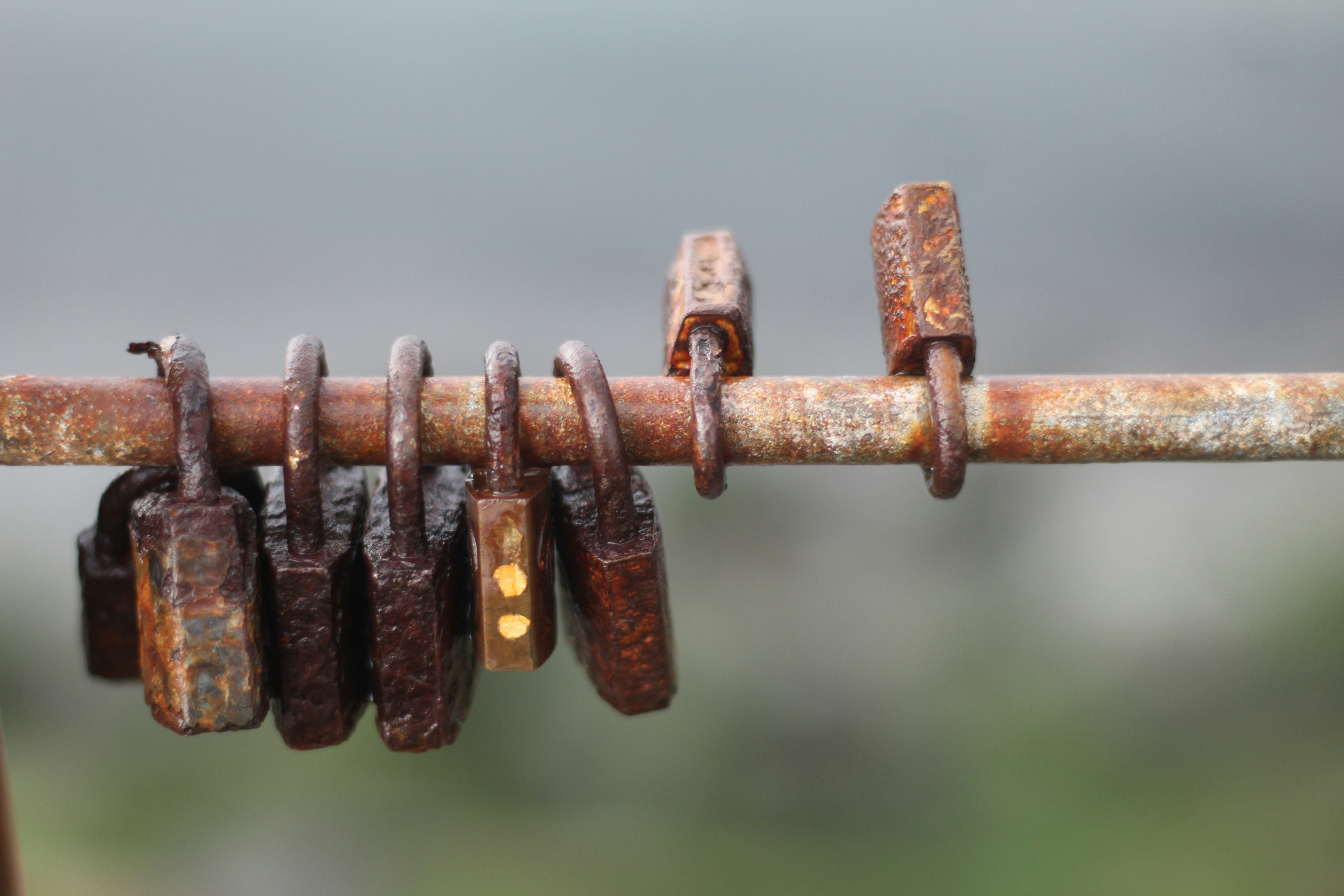 Rusty locks are hanging on a rusty rod.