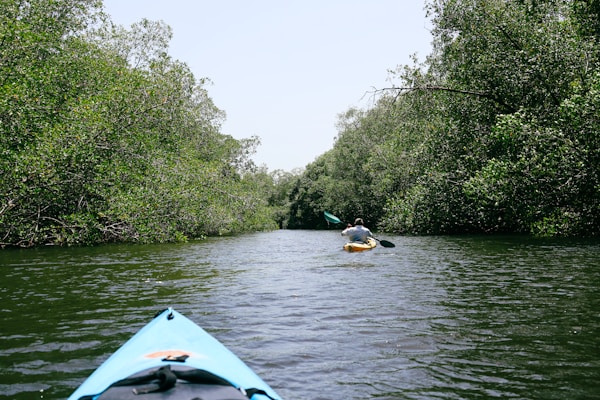 Lowcountry Watersports Kayak
