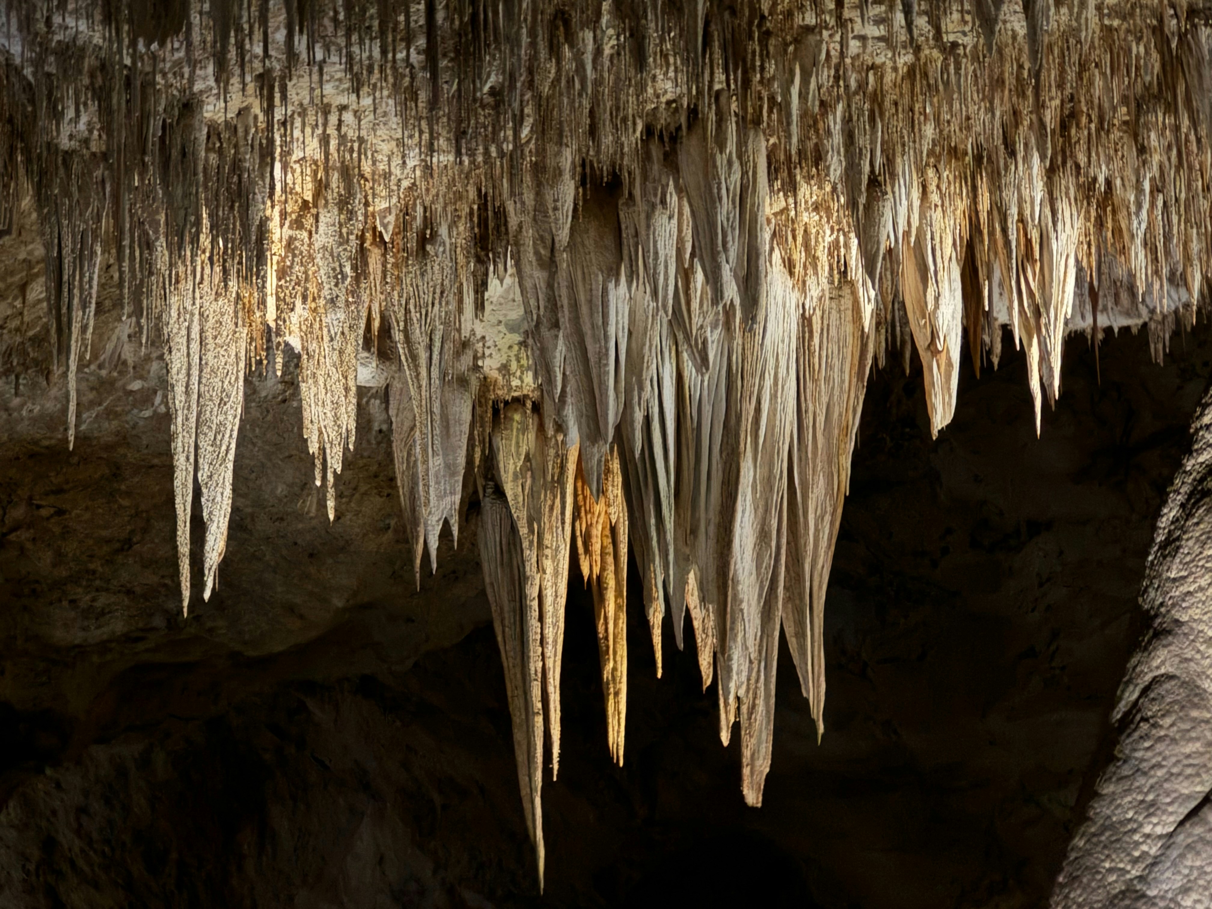 Photo by jasonhudson3