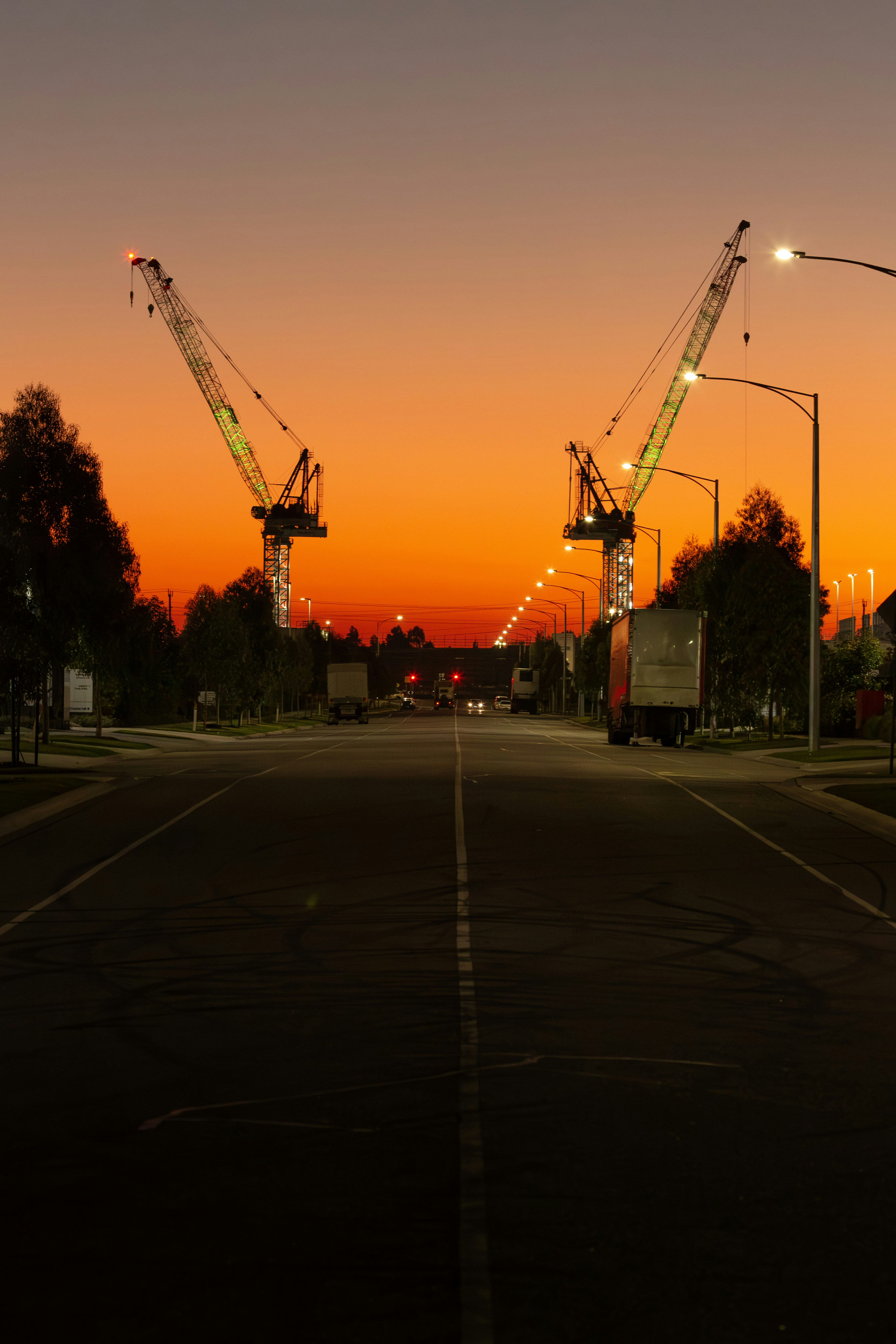 Cranes stand silhouetted against a fiery sunset.