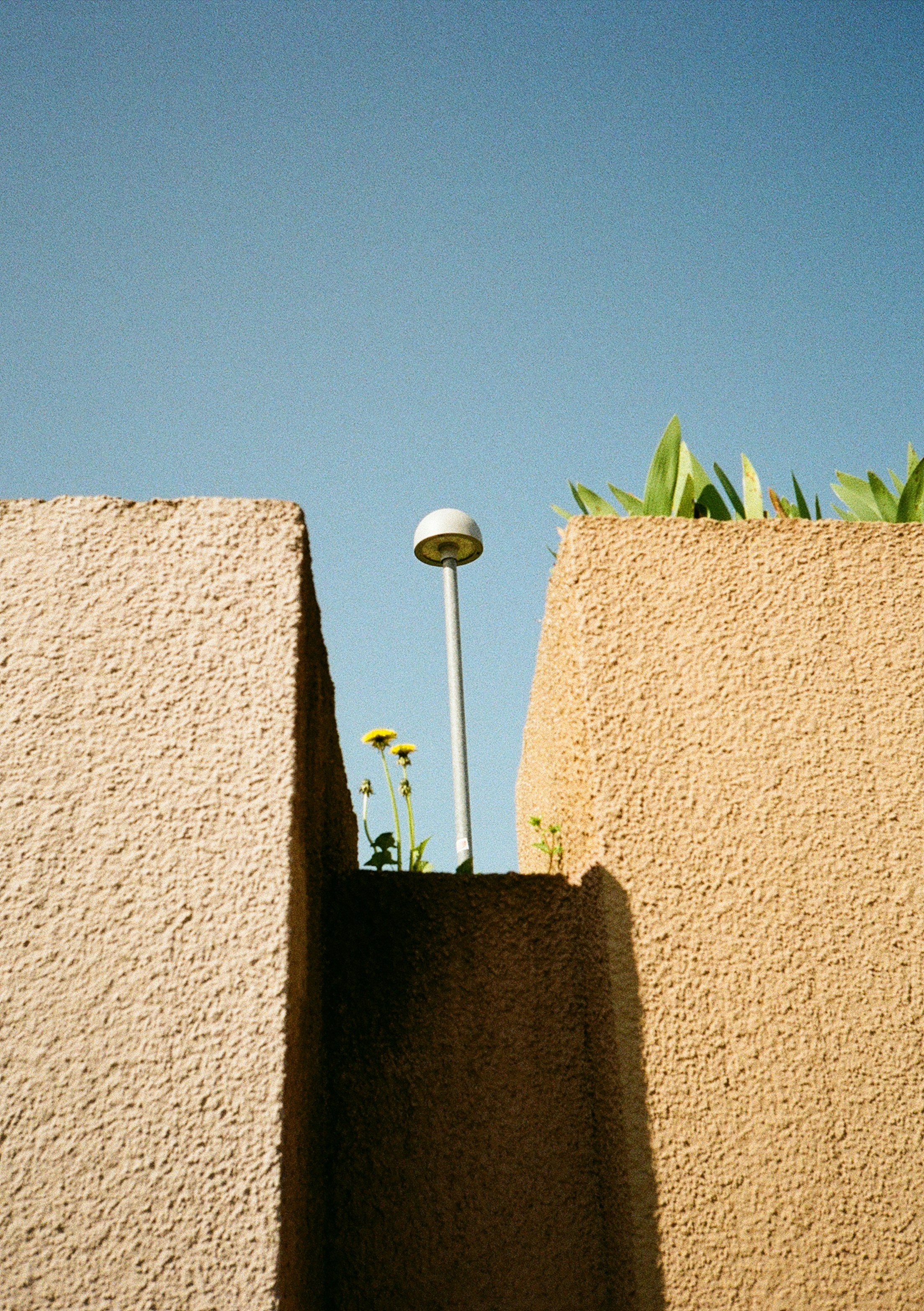 Flowers, lamp, and concrete against a blue sky