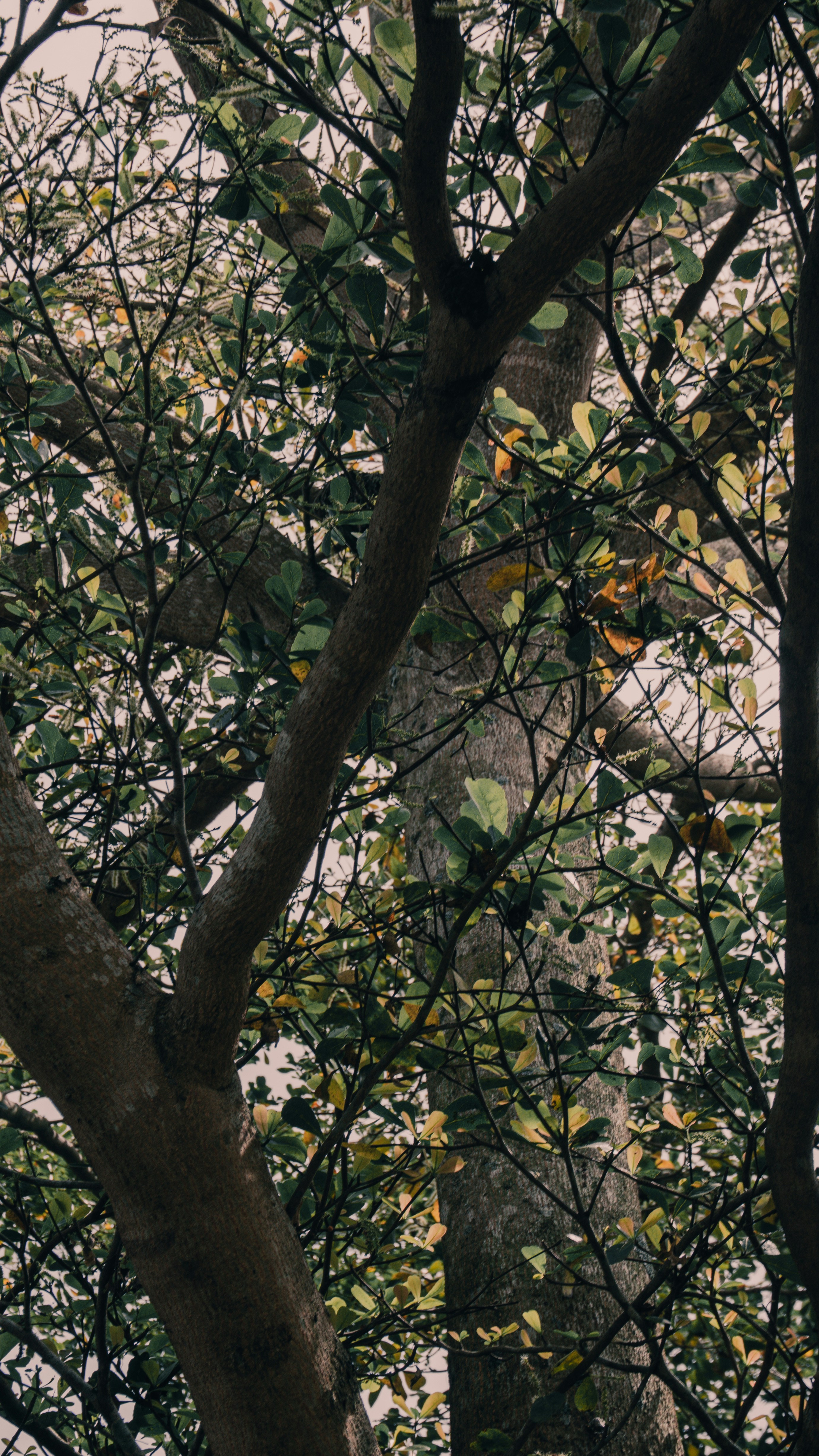 Photo by aletraekaye