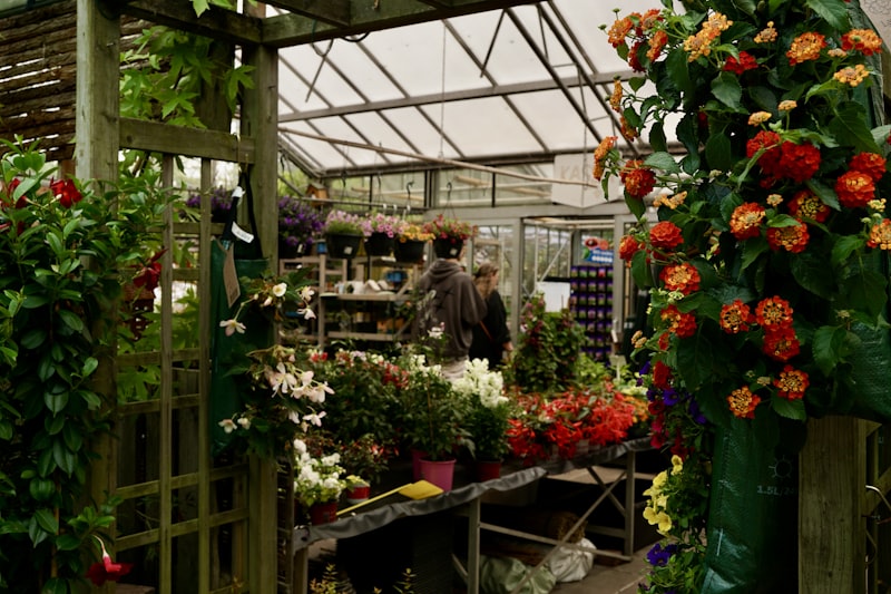 Various plants and flowers in a greenhouse