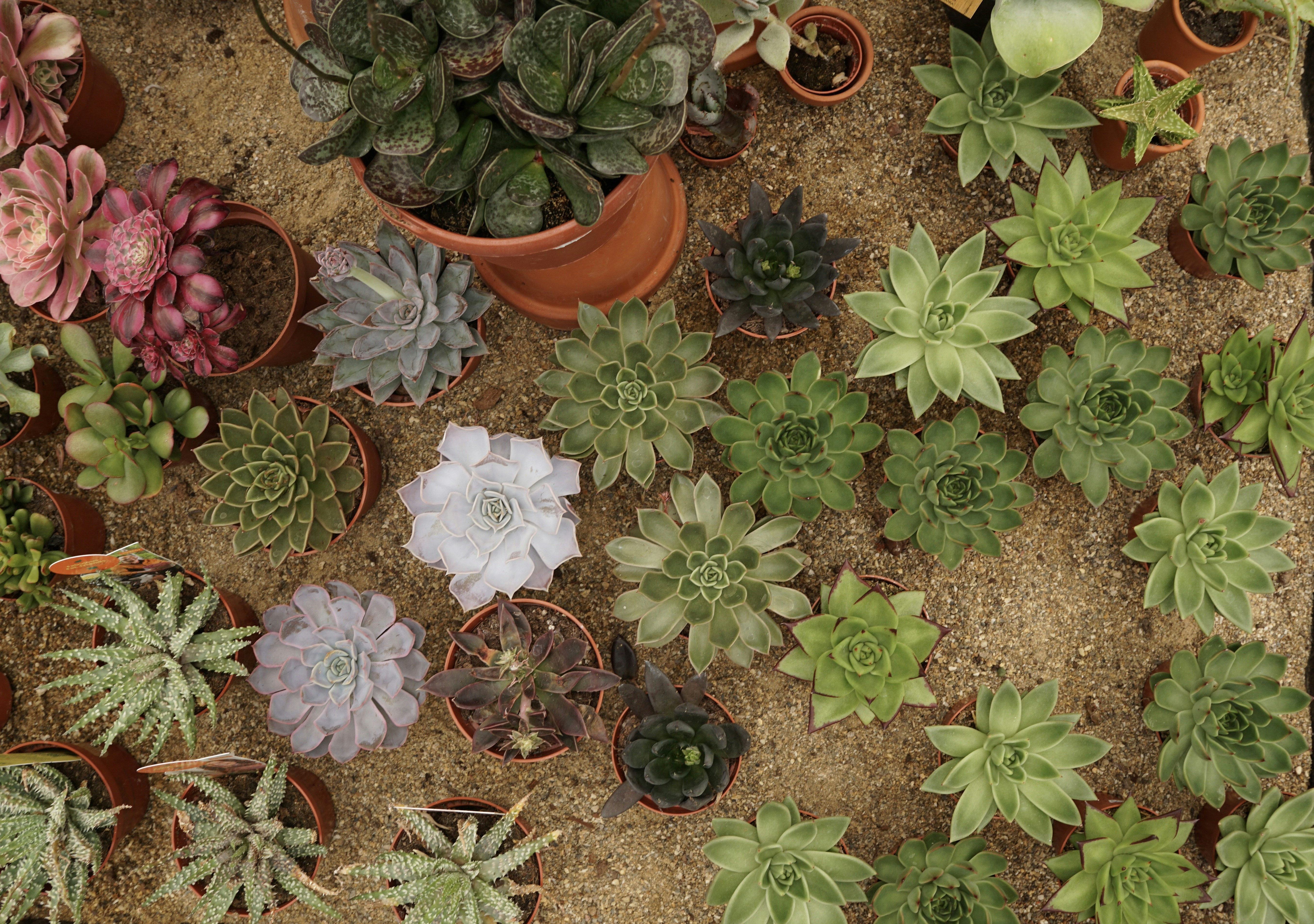 Photo by l_glazunova