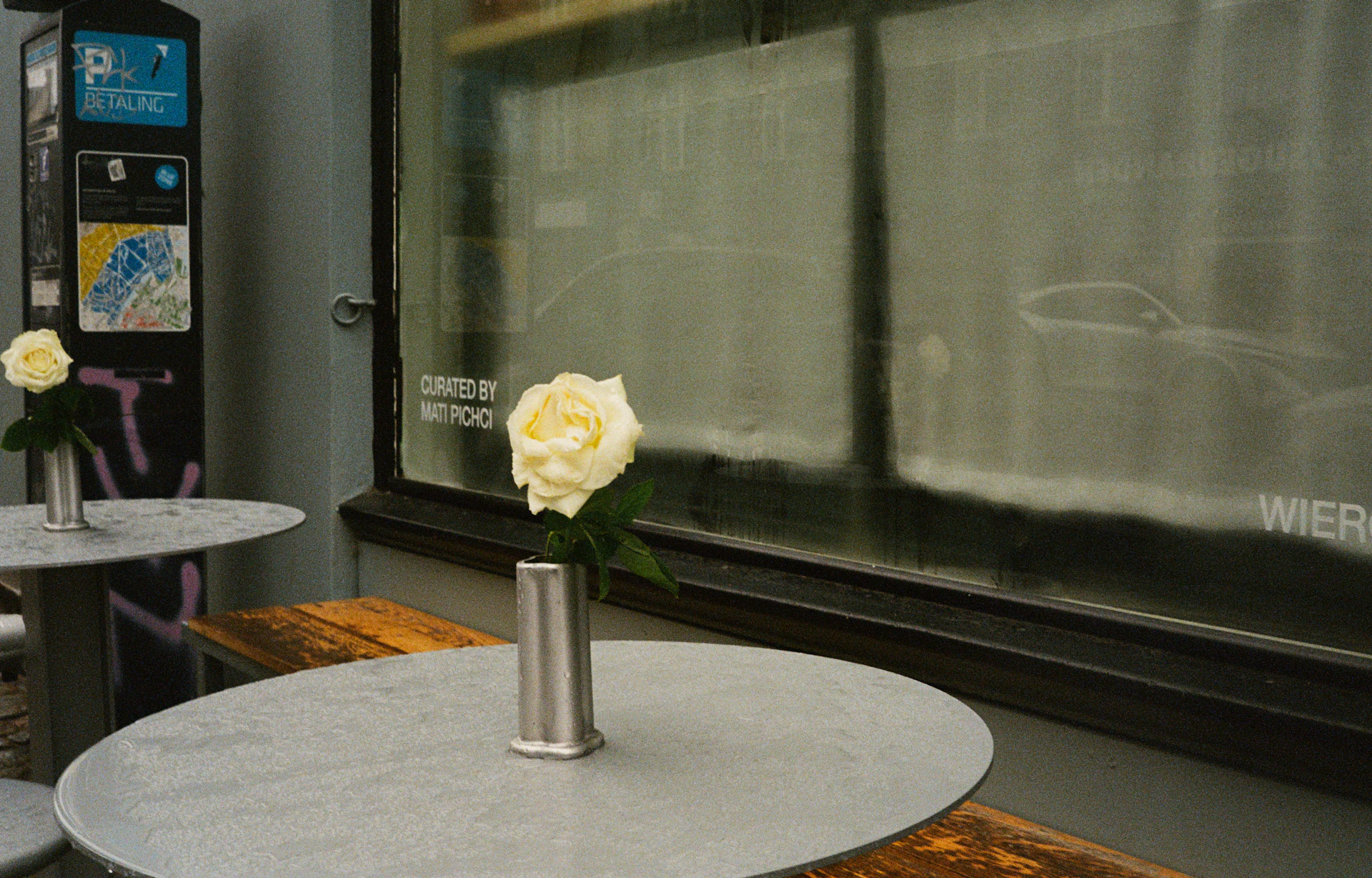 A rose sits on a table outside.