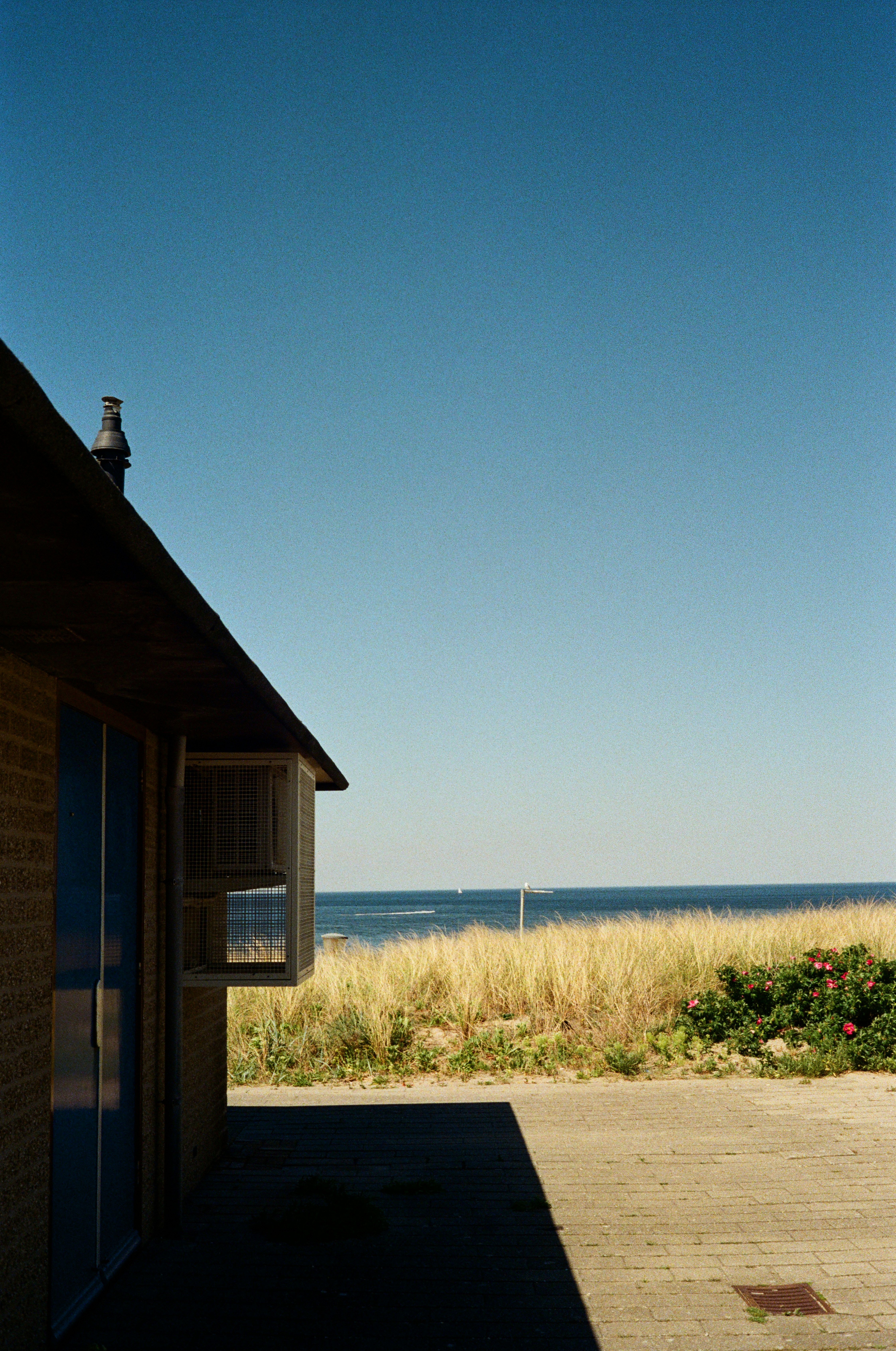 7 Coastal Cottage Summer Lakehouse Tablescape Ideas