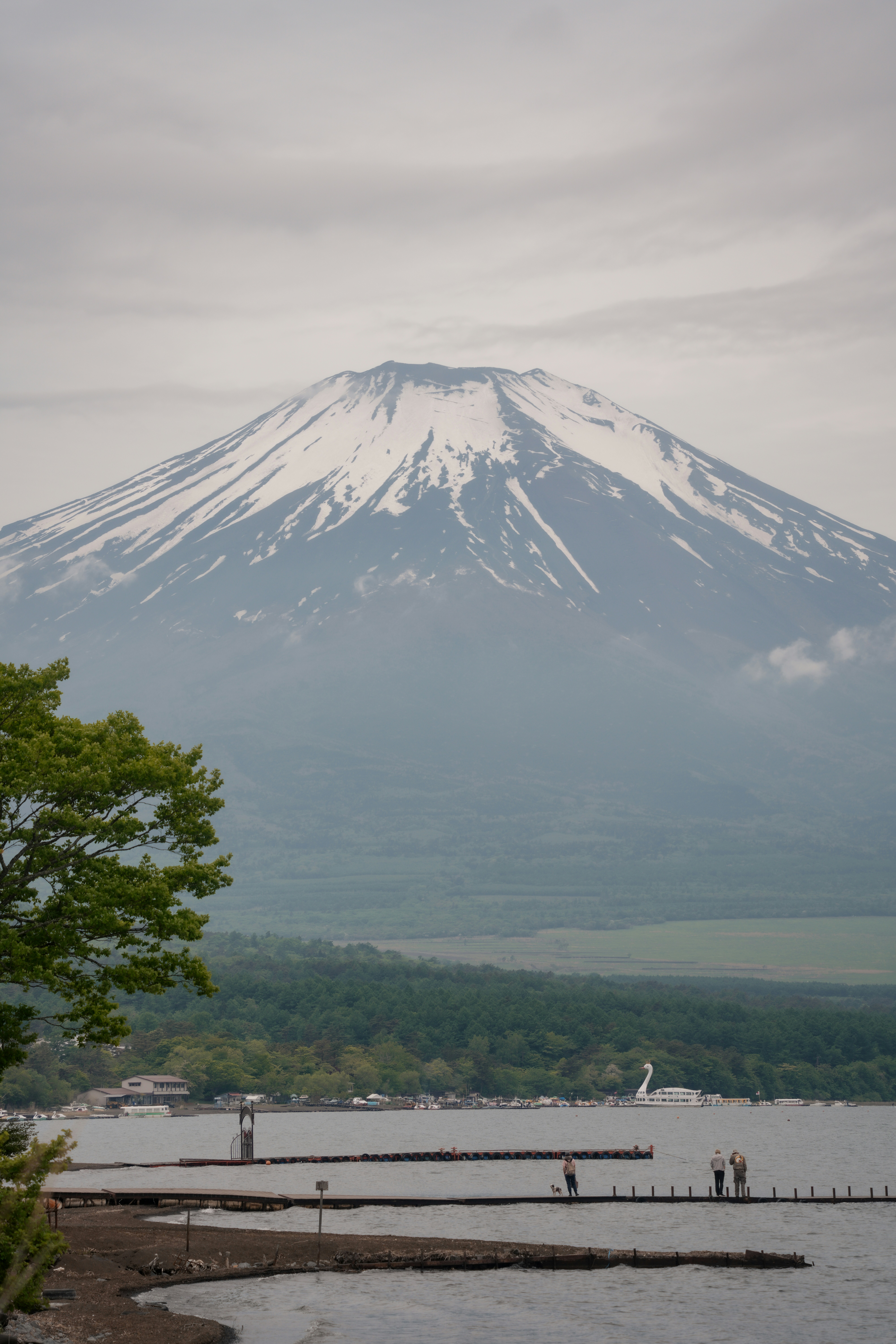 Photo by diadesigner