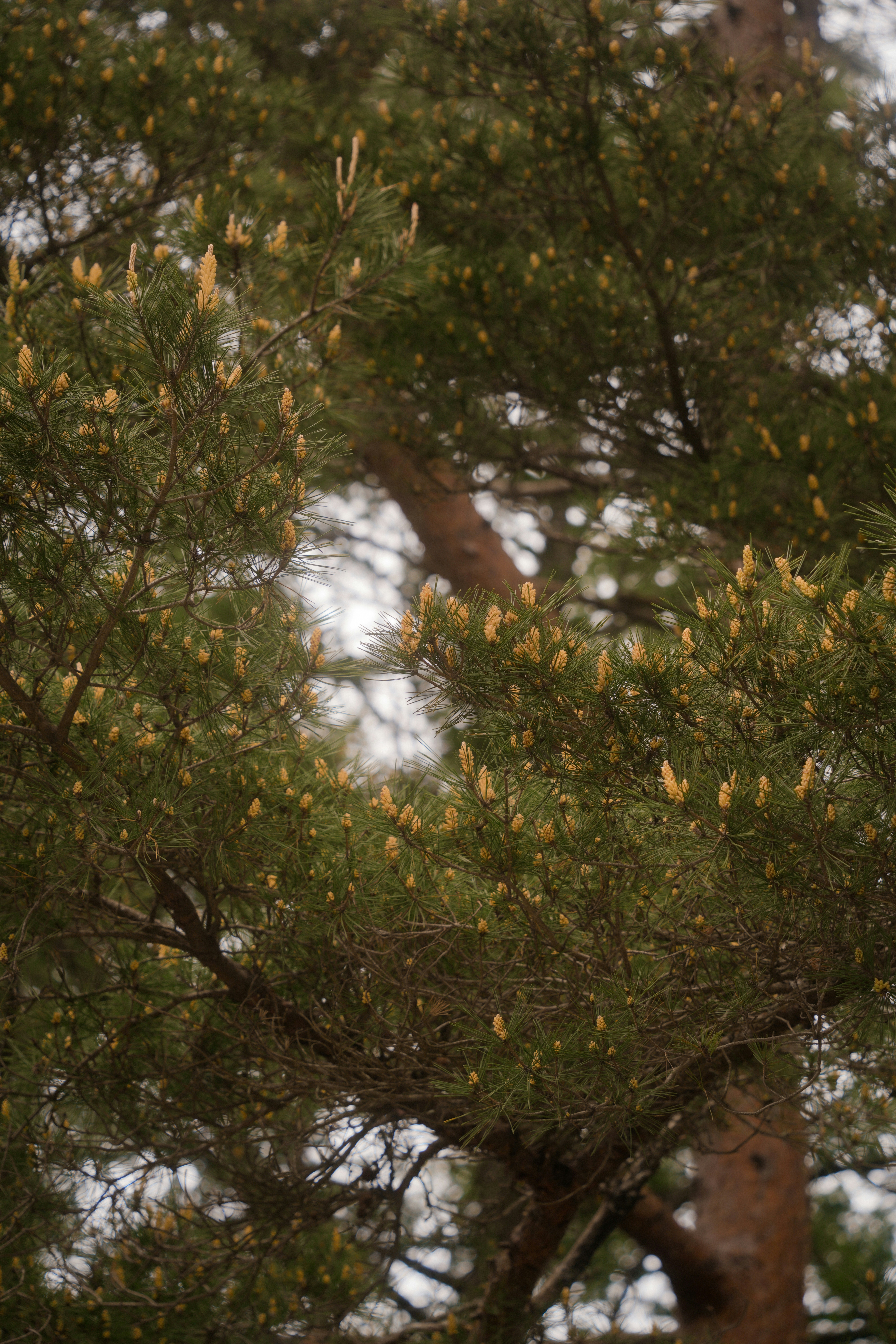 Photo by diadesigner