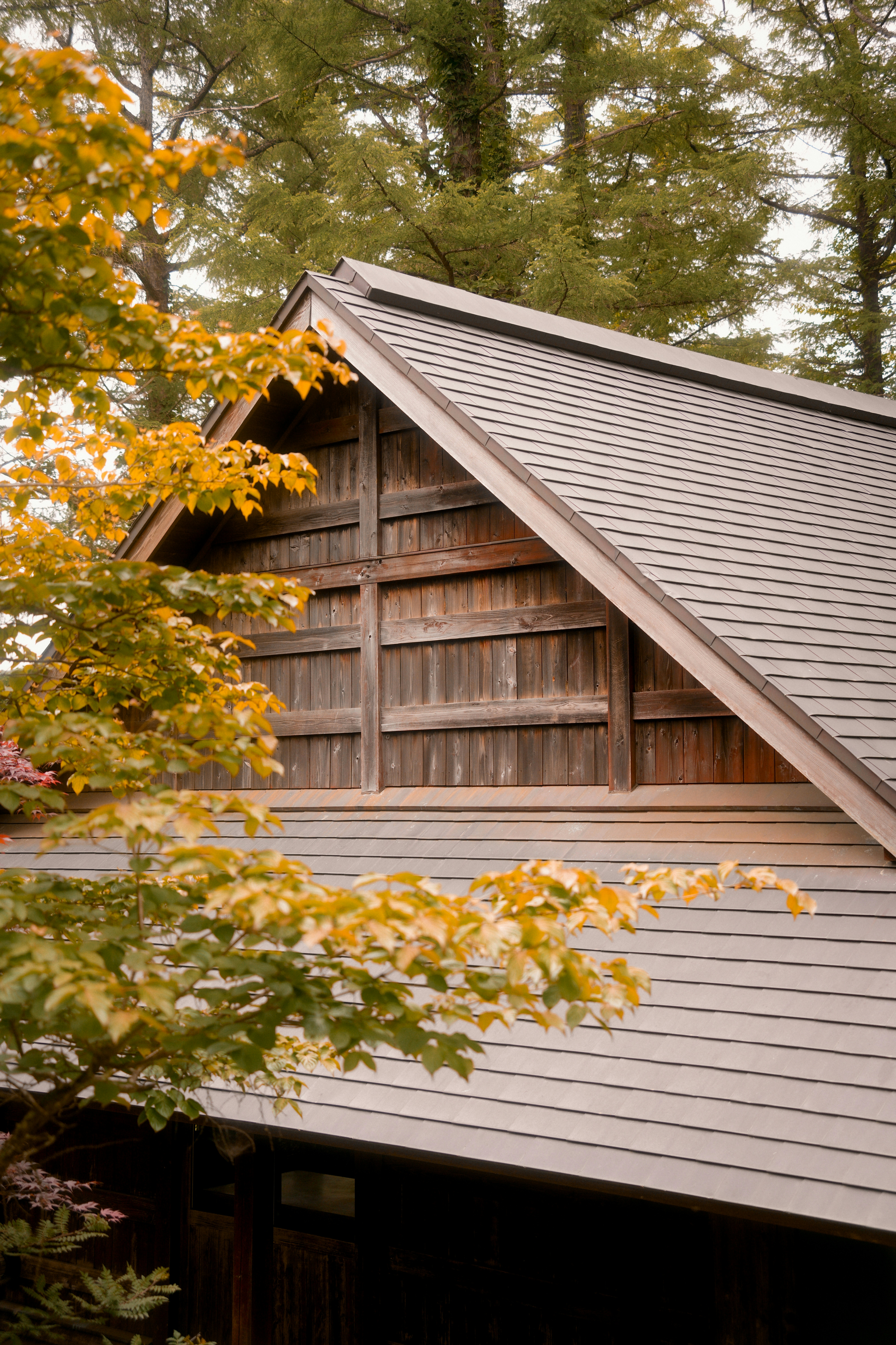 Wooden roof detail with autumn foliage.