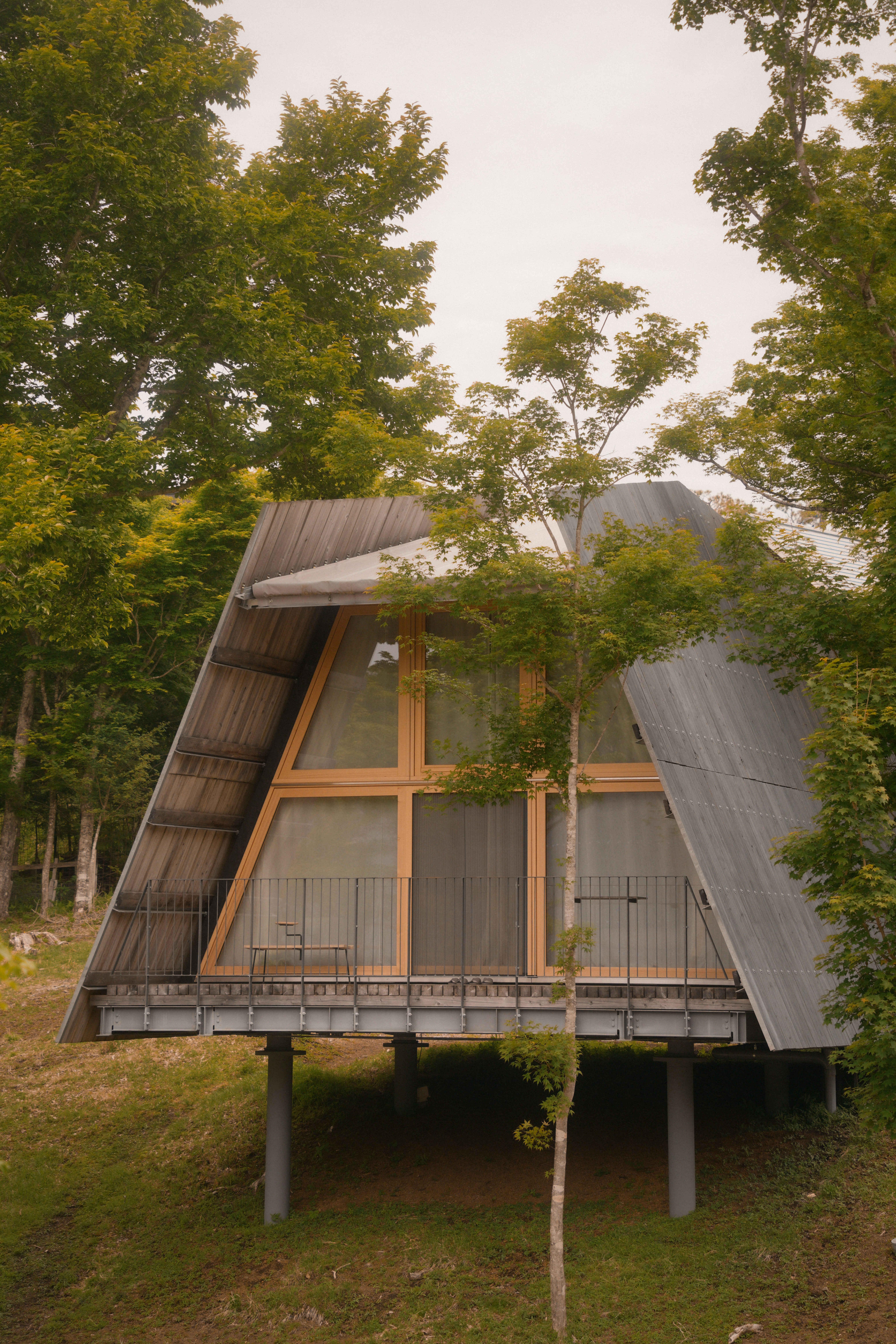 Photo by diadesigner