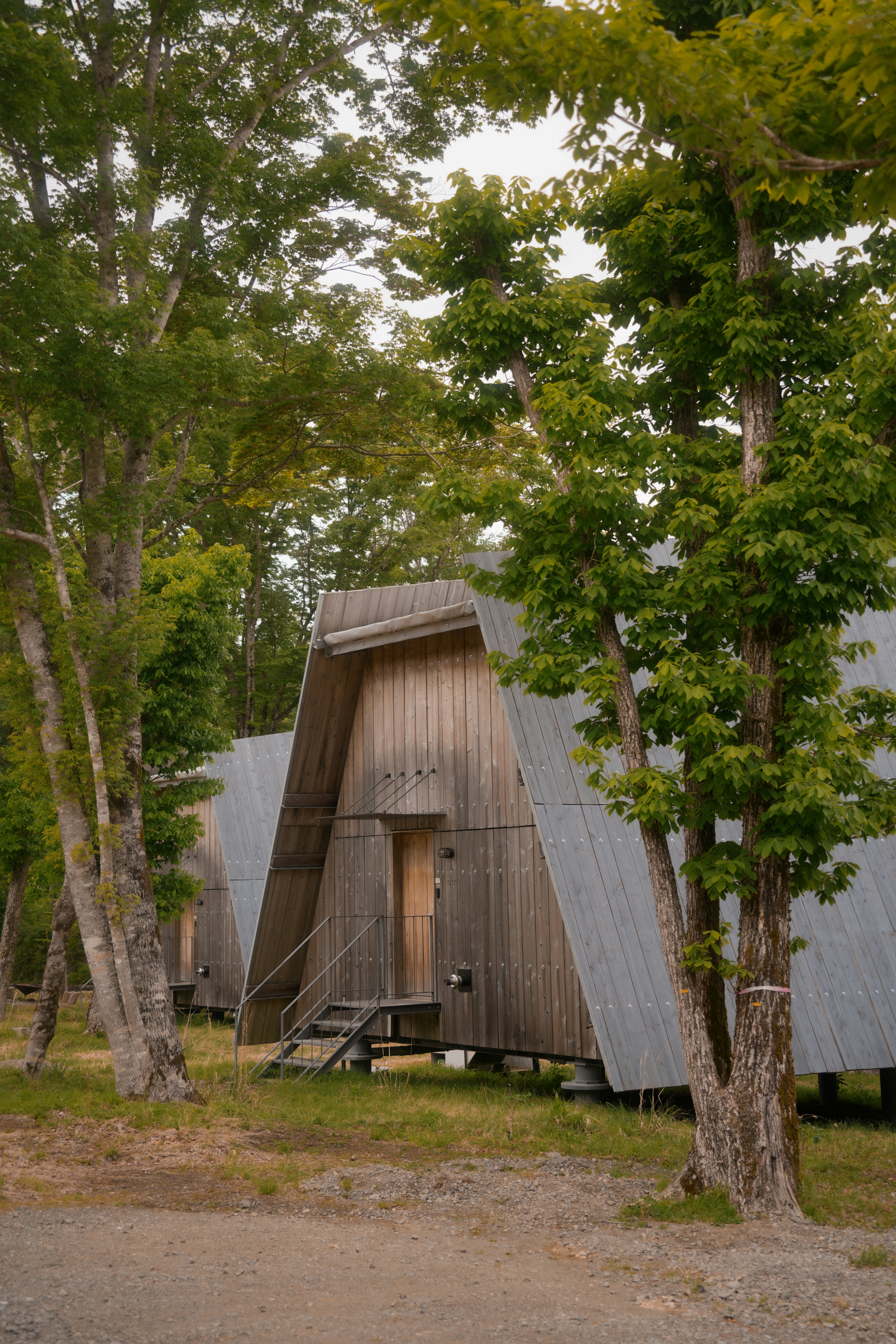 Photo by diadesigner