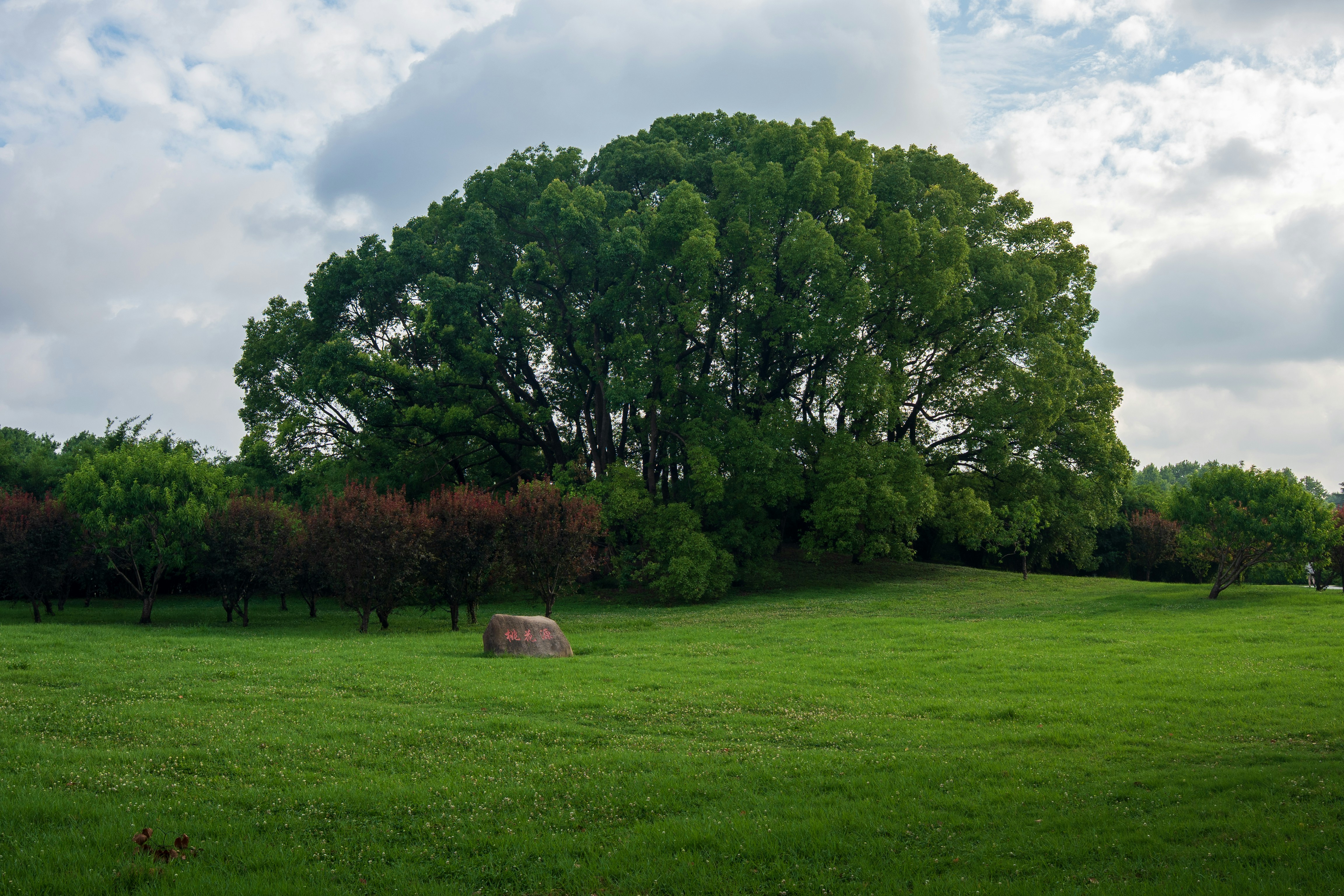 Photo by slow_monkey_69