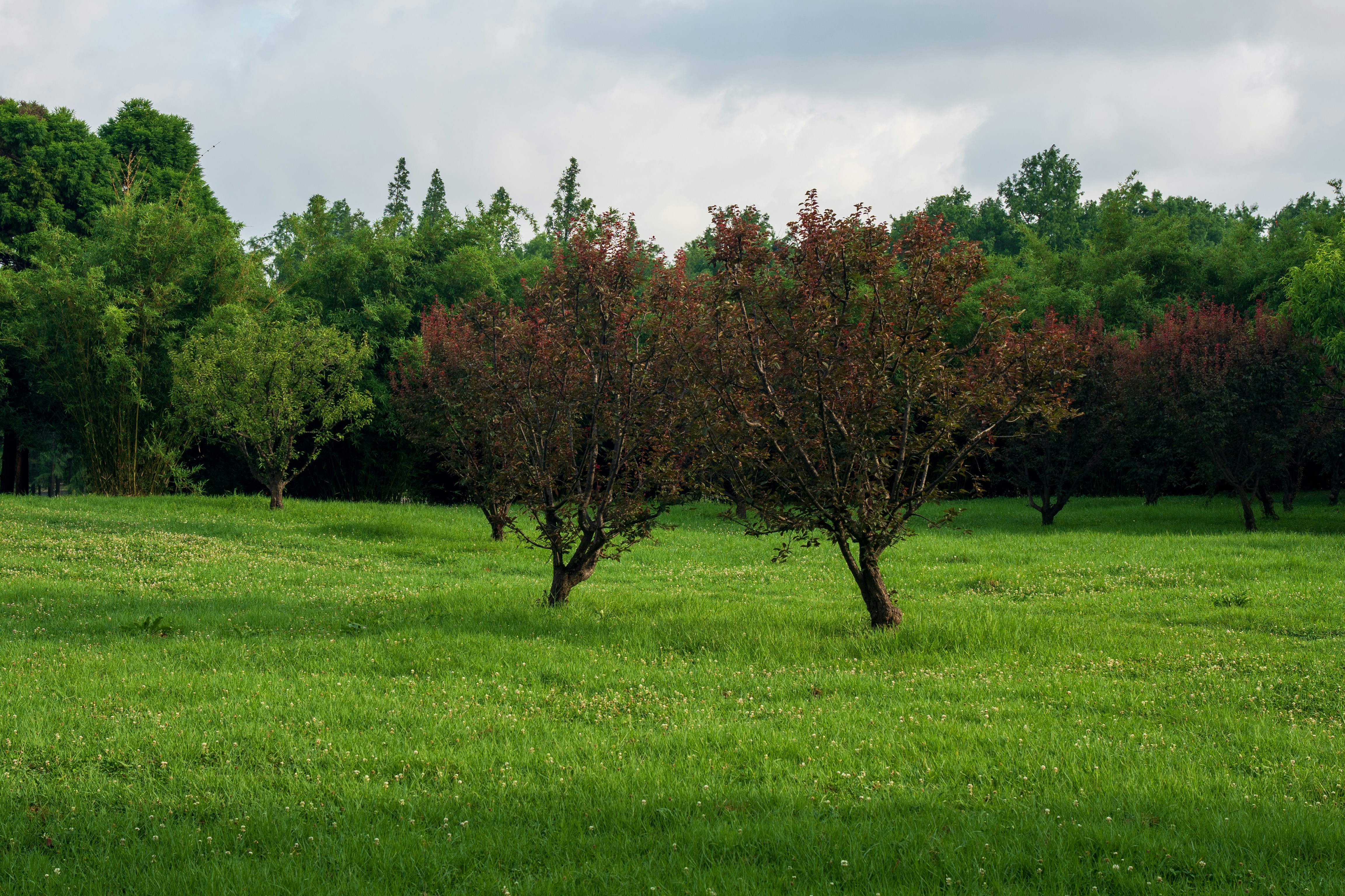 Photo by slow_monkey_69