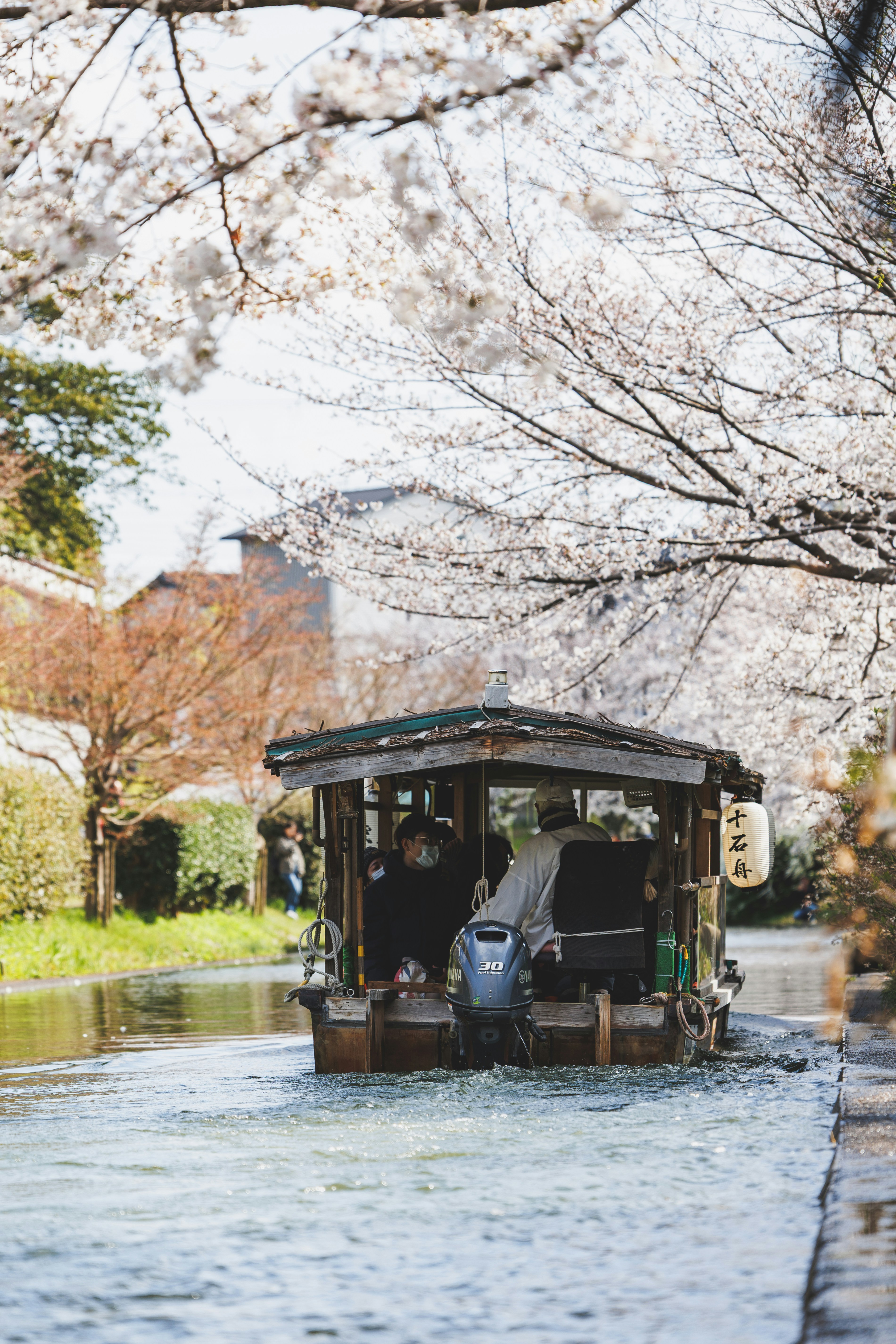 Photo by wenhao_ruan