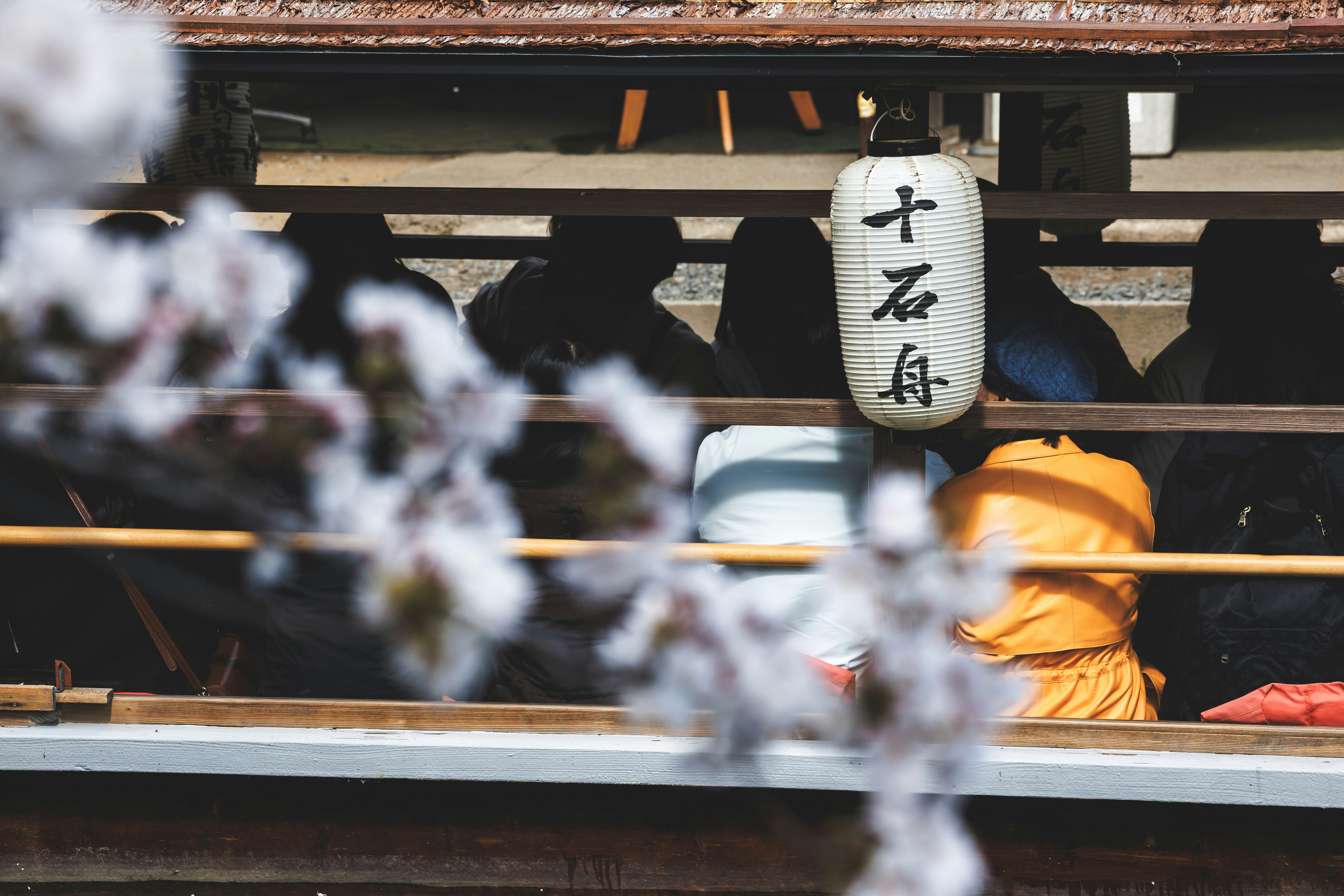 Photo by wenhao_ruan