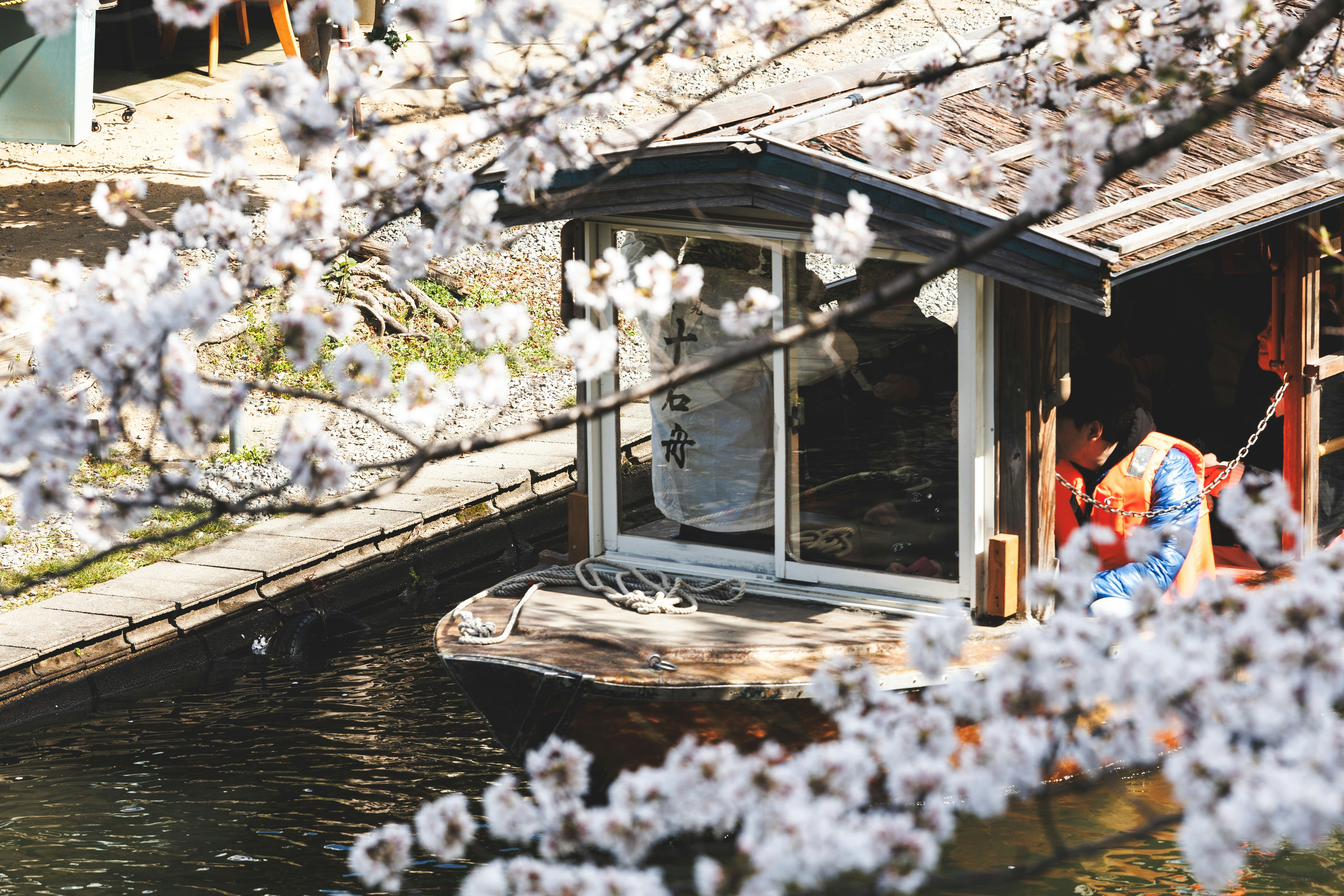 Photo by wenhao_ruan