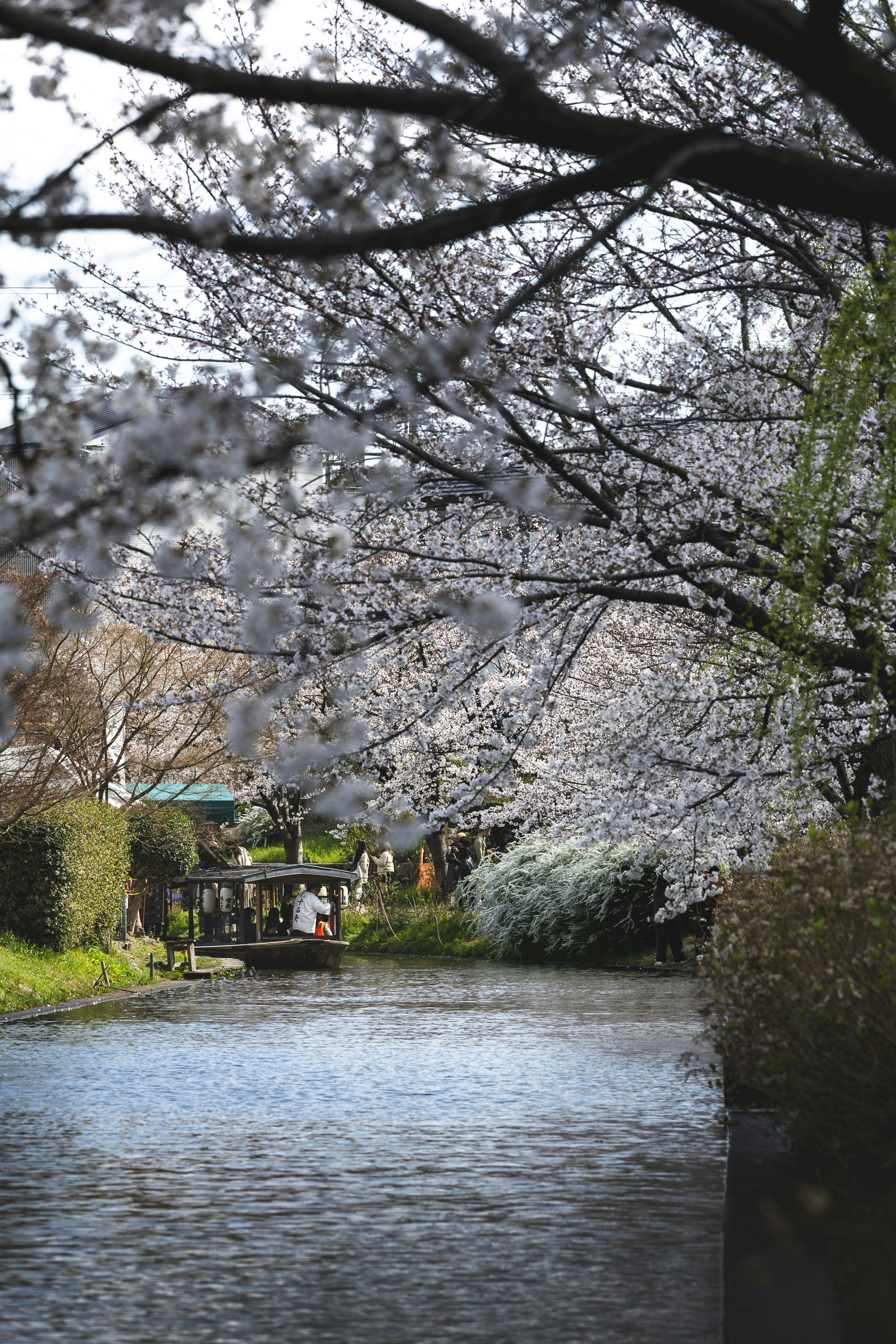 Photo by wenhao_ruan