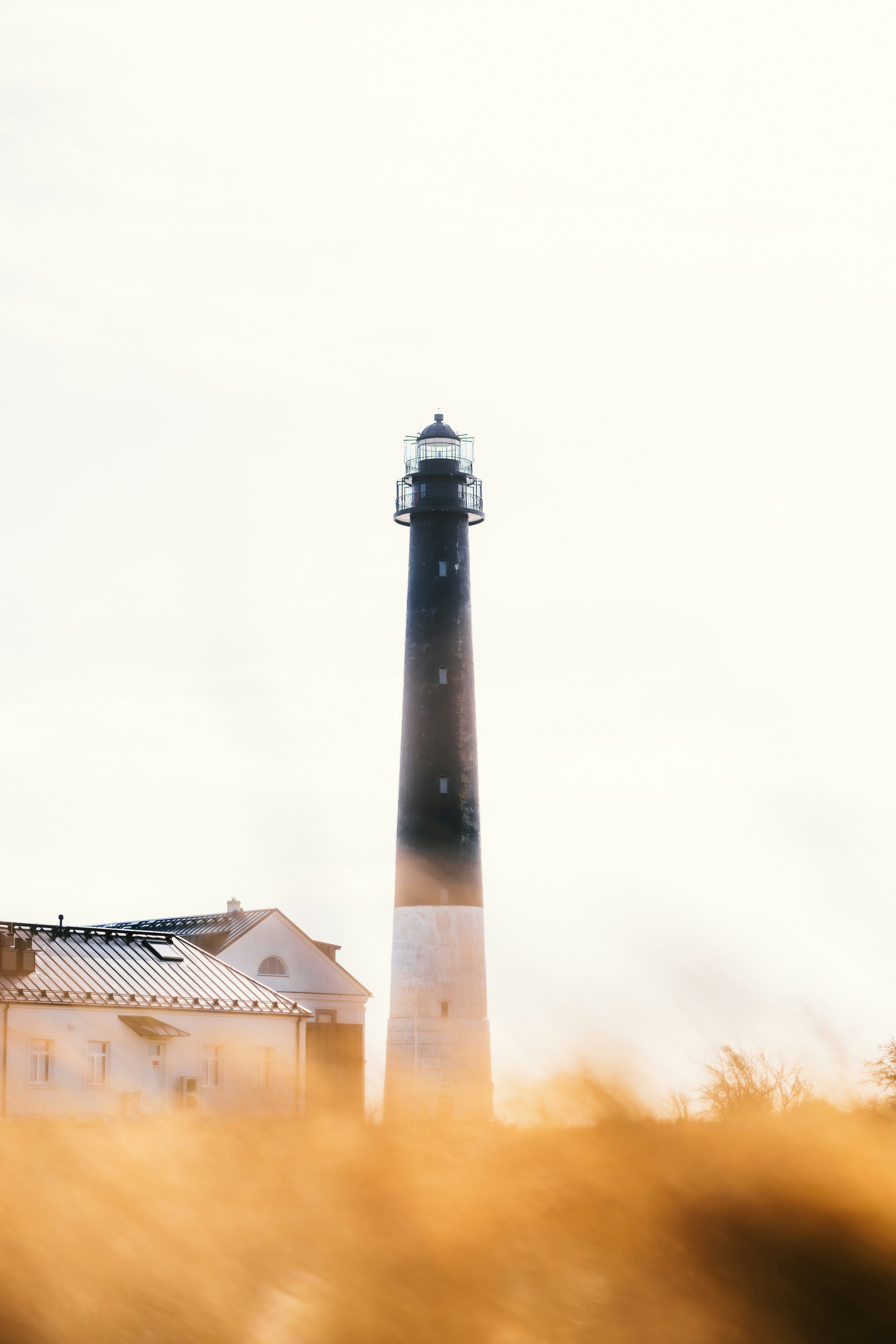 Top 50 Most Held Stocks by Institutions