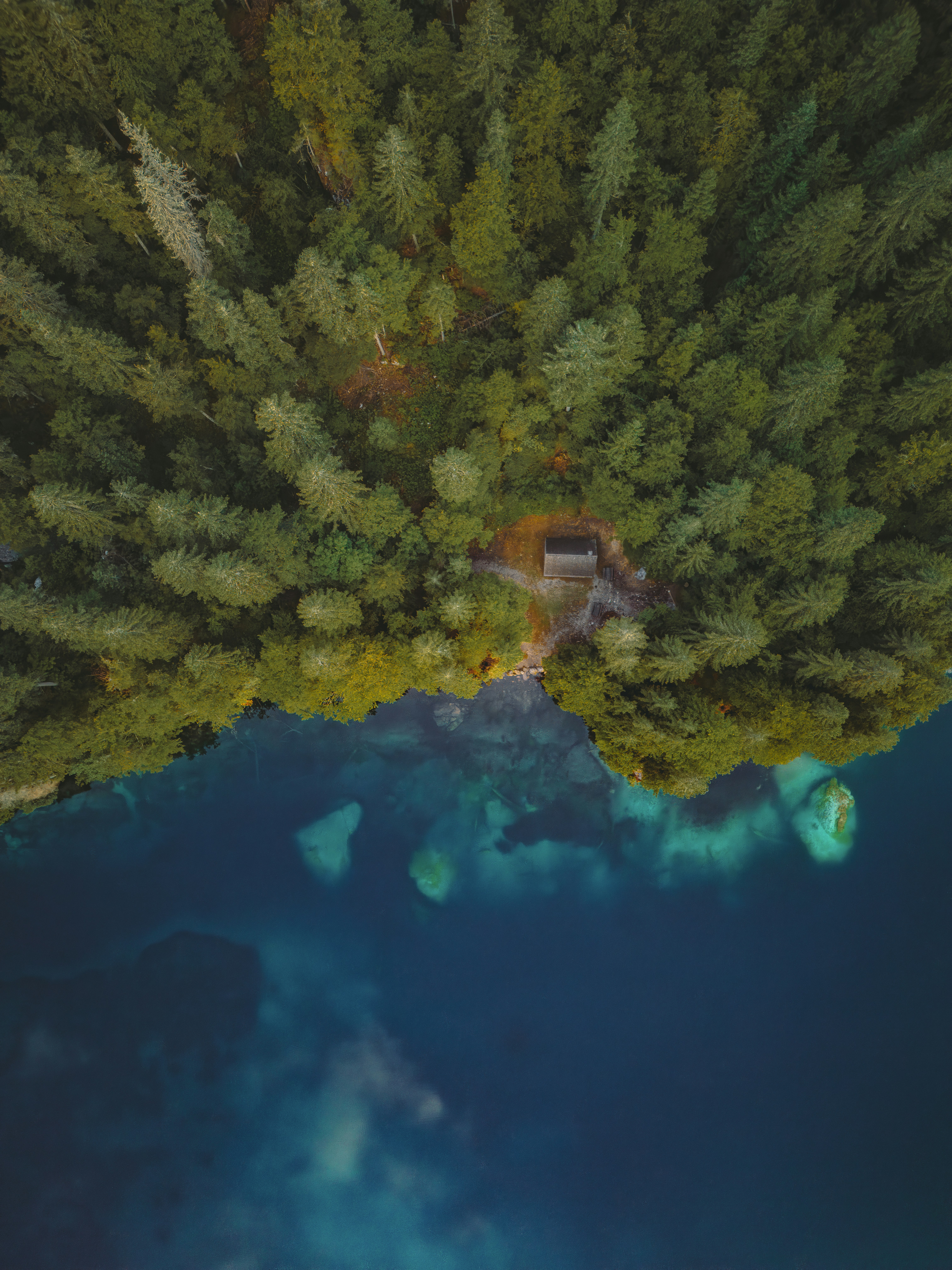 Photo by merlin_photo