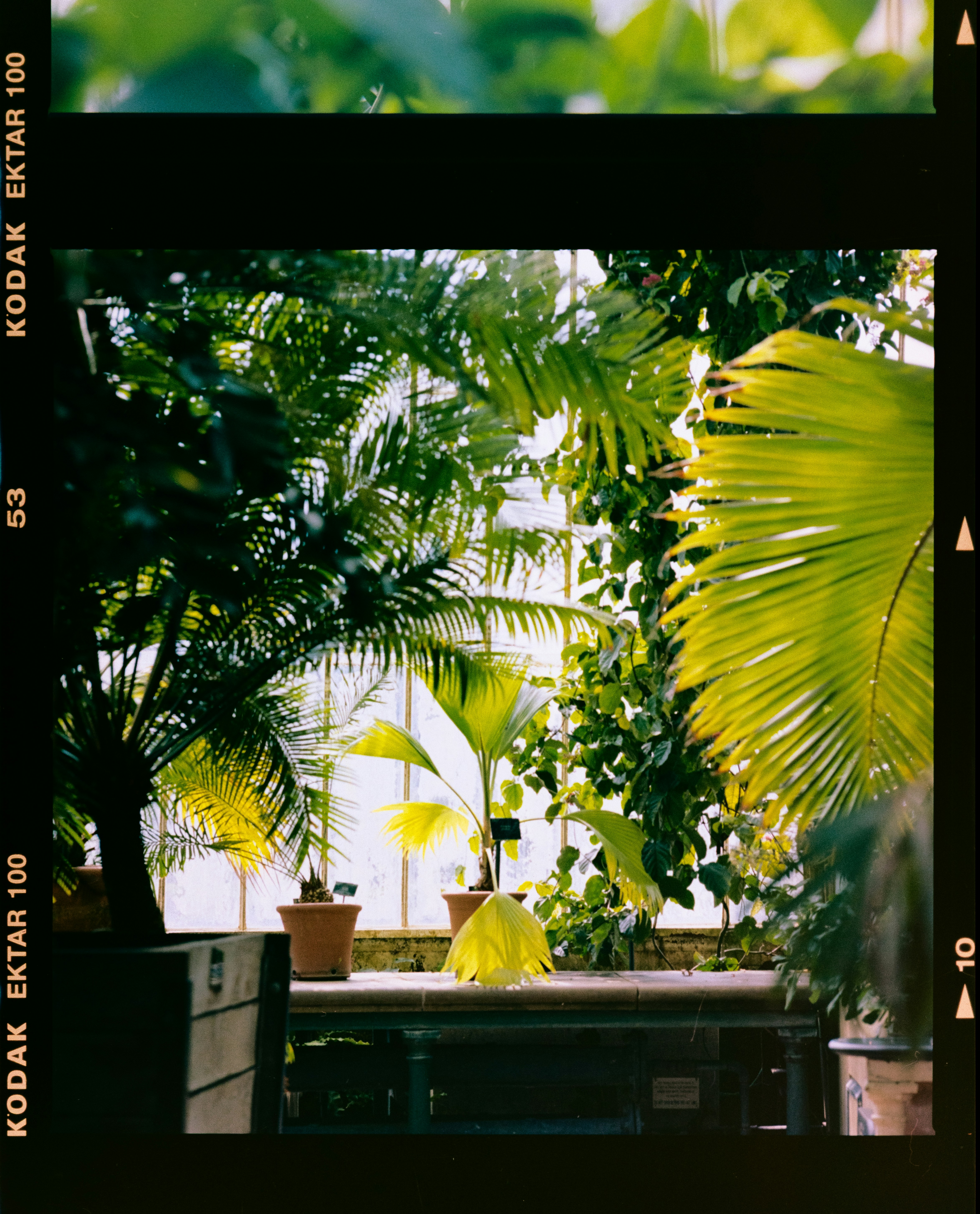 Photo by anniespratt