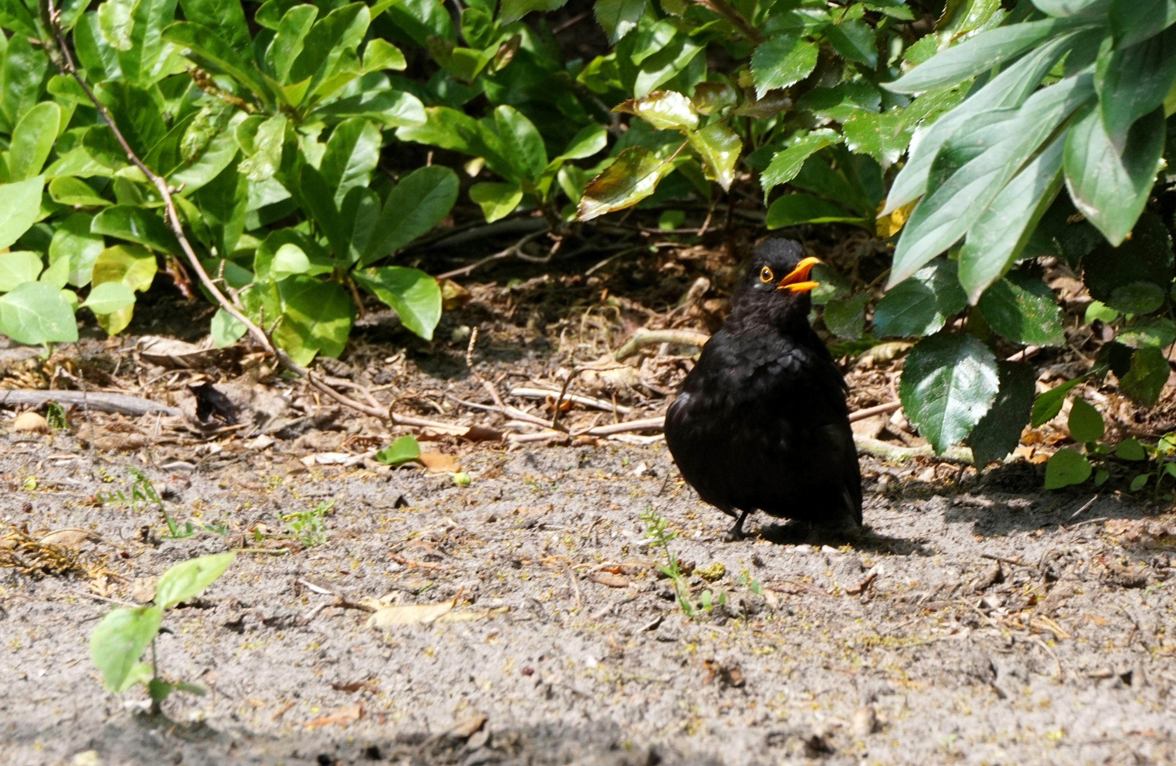 Photo by andreas_haubold