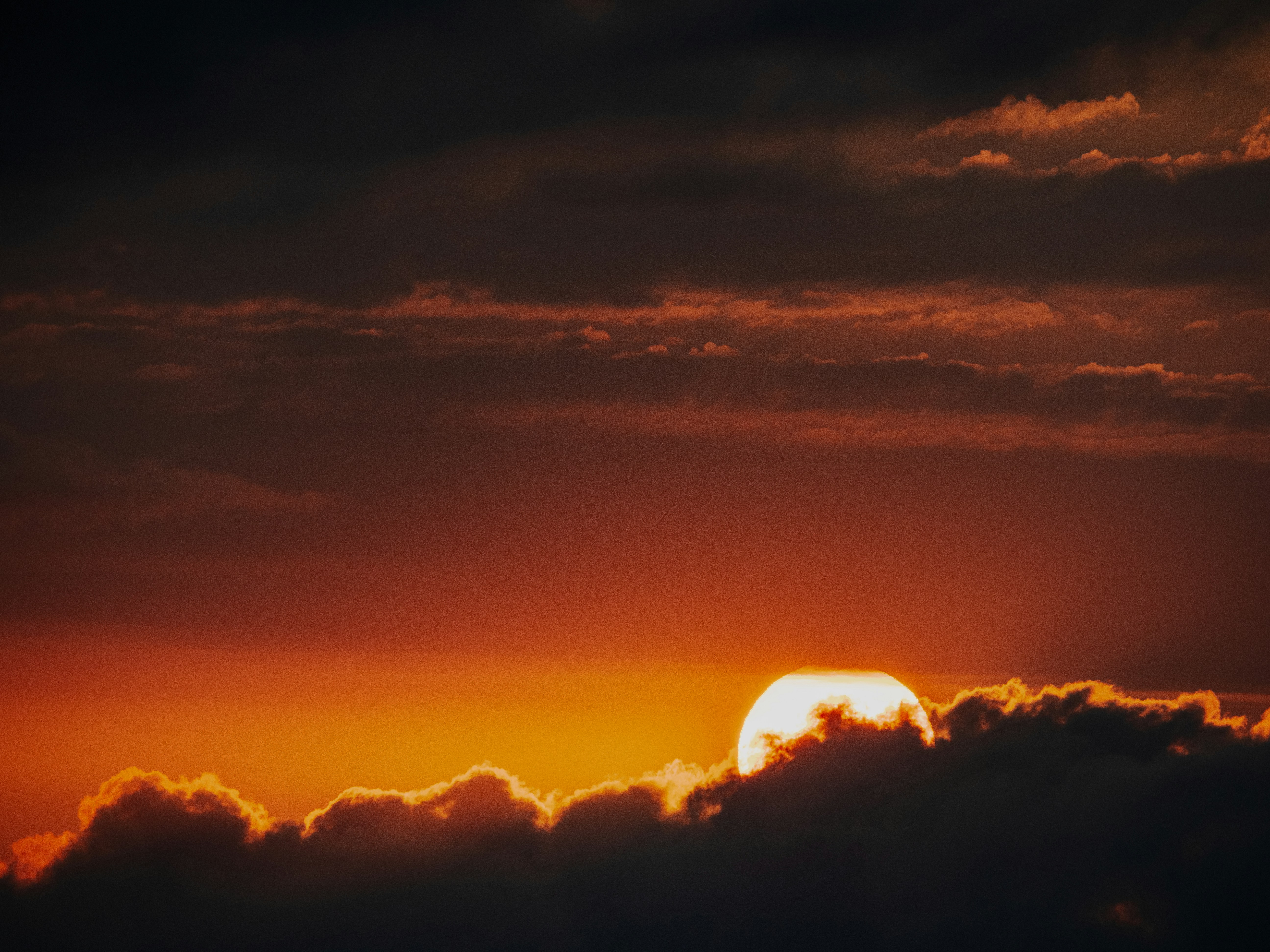 Photo by gopitri_prem