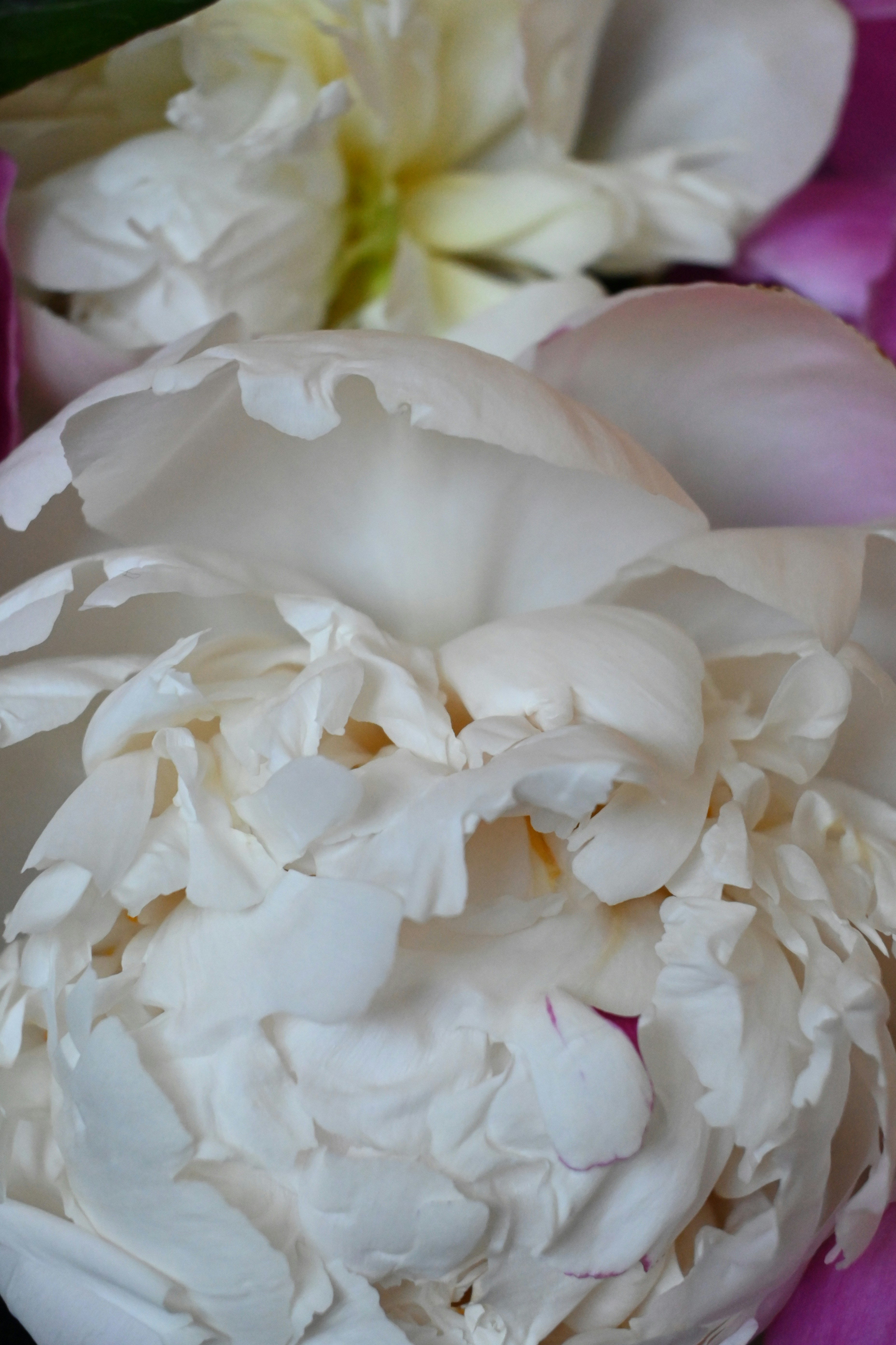 Photo by karolinabobek