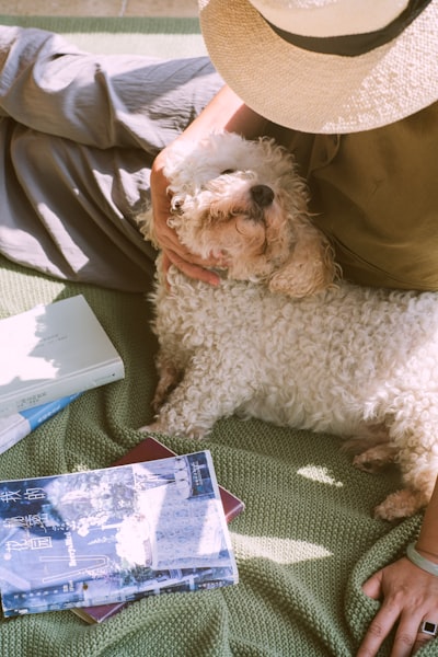 Woman pets a dog, relaxing outdoors.
