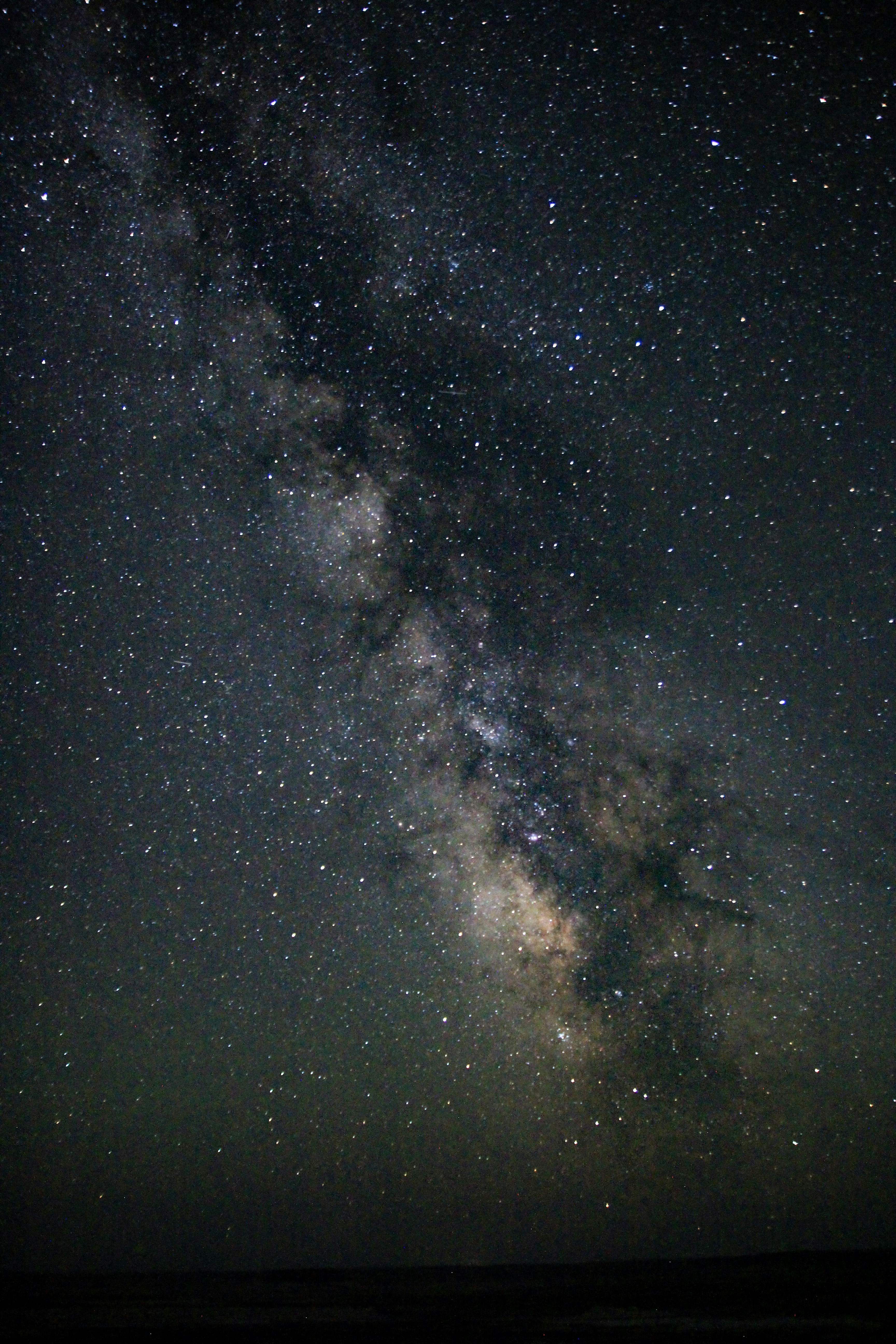 Photo by chocolate_milk_denmark