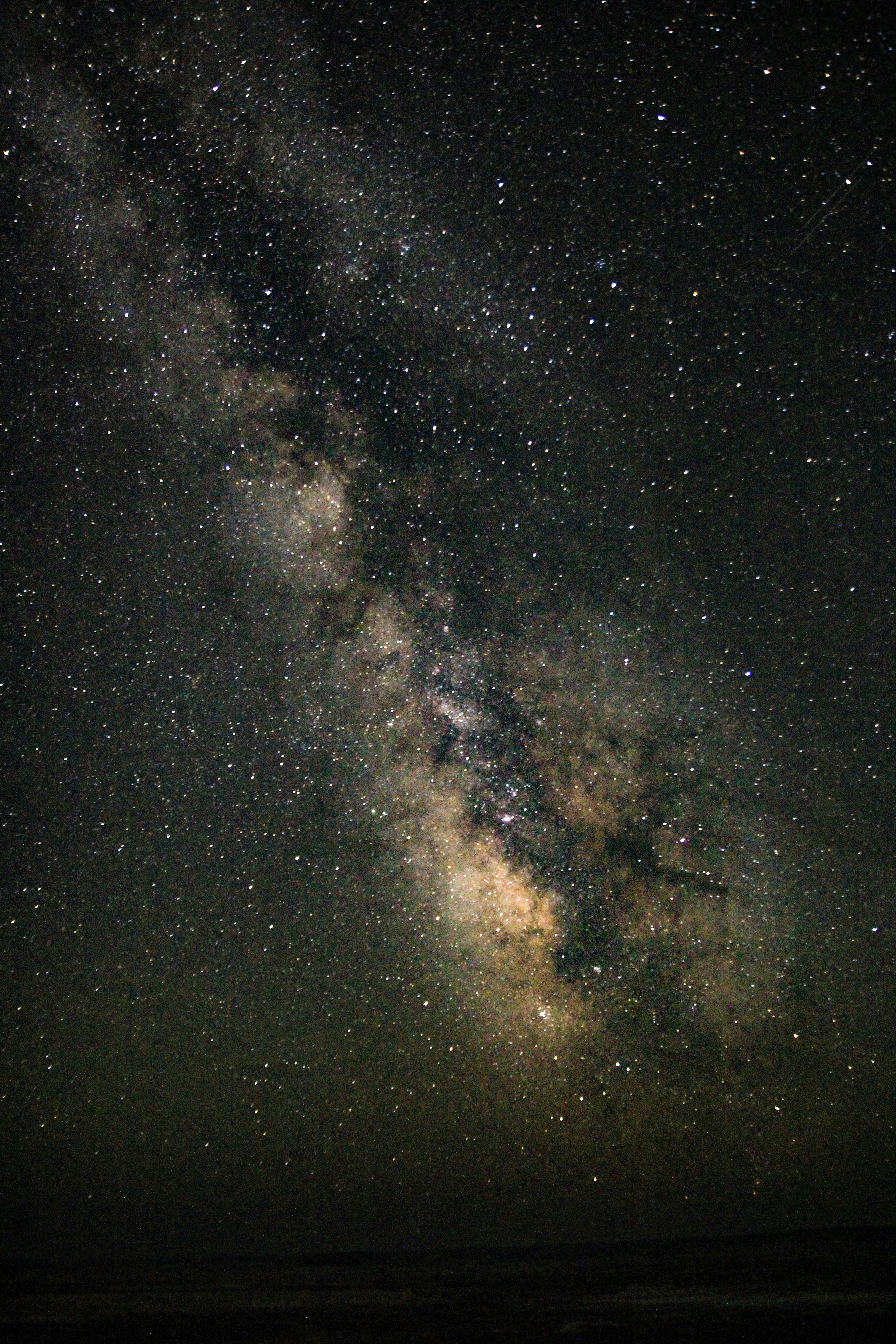 Photo by chocolate_milk_denmark