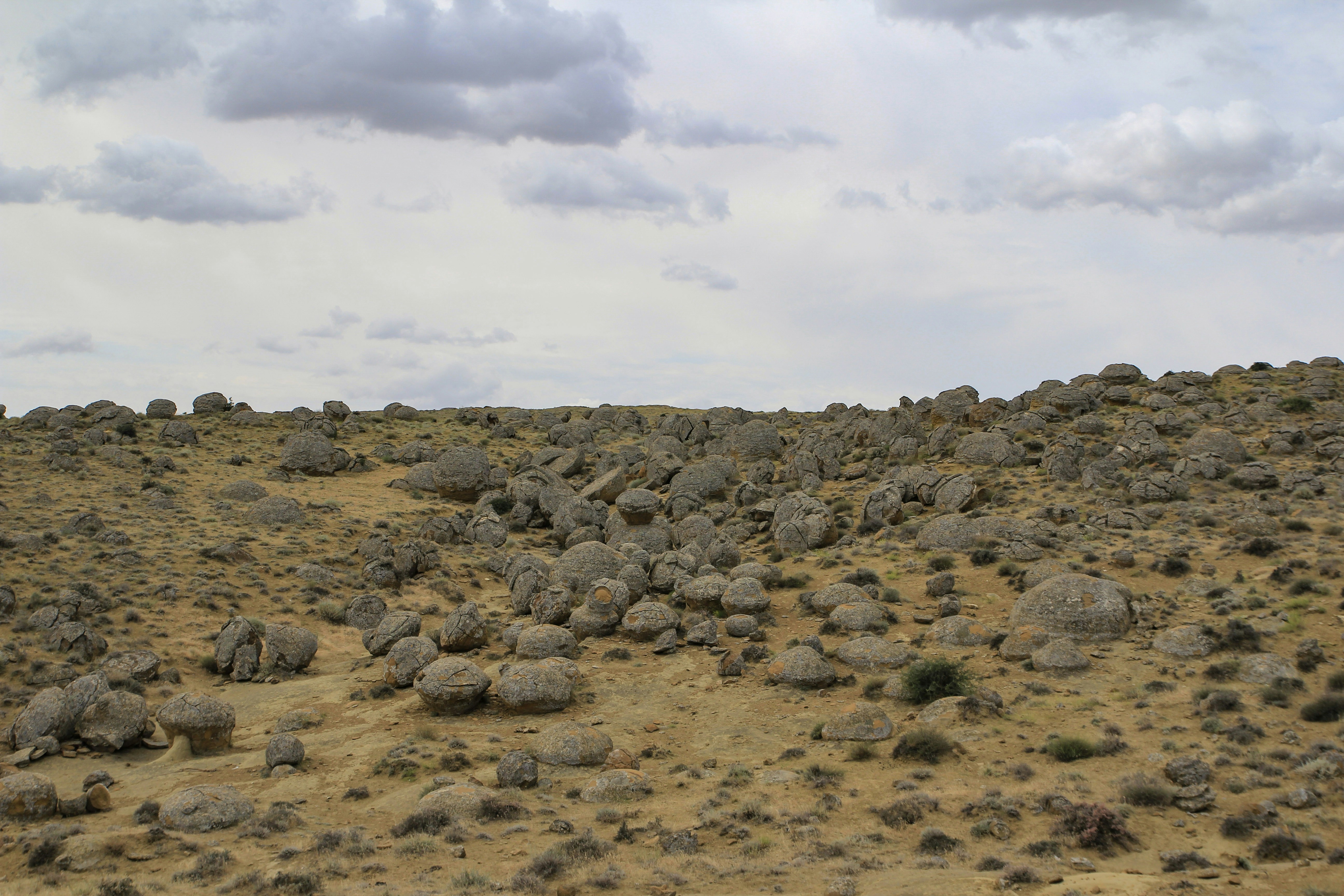 Photo by chocolate_milk_denmark