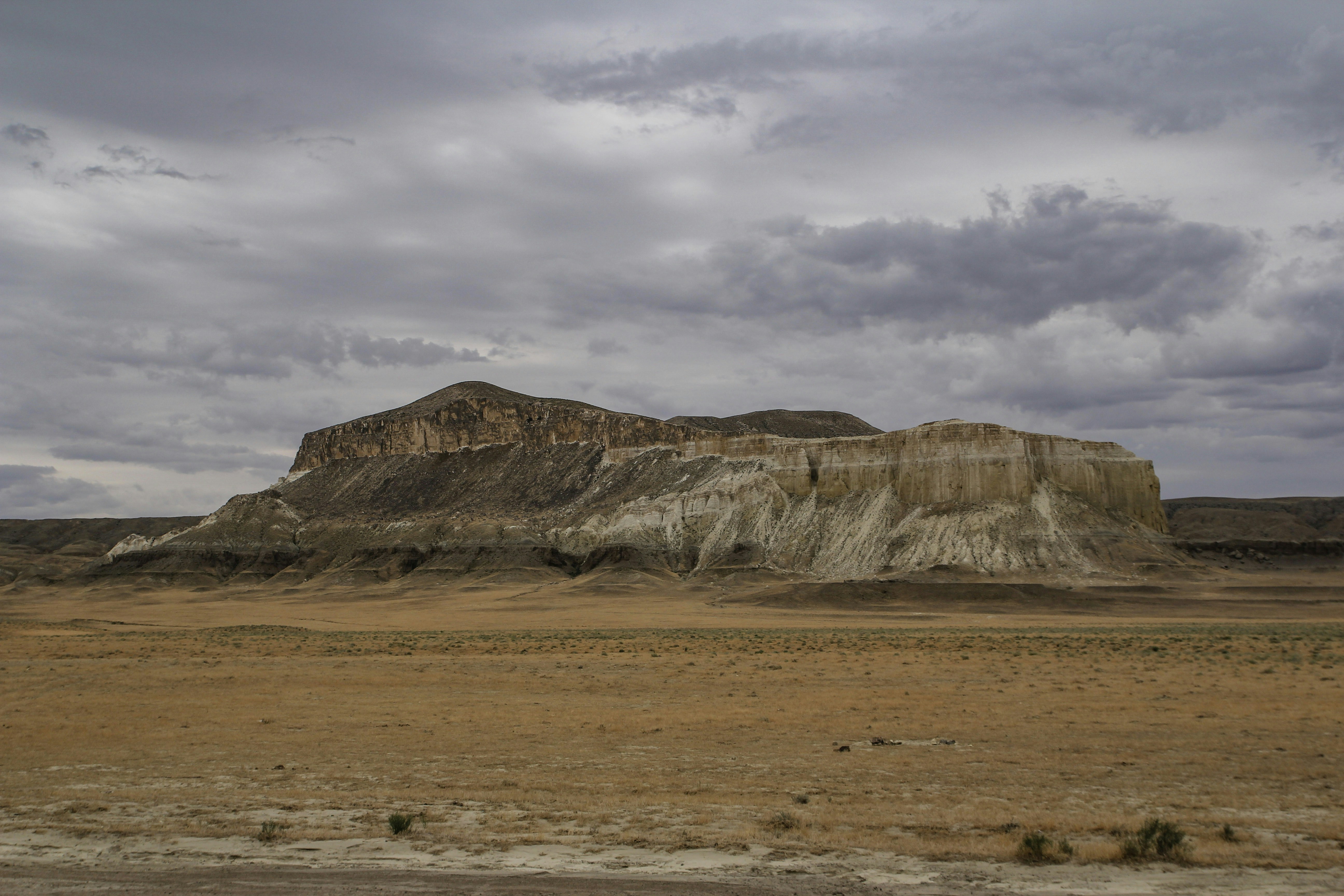 Photo by chocolate_milk_denmark