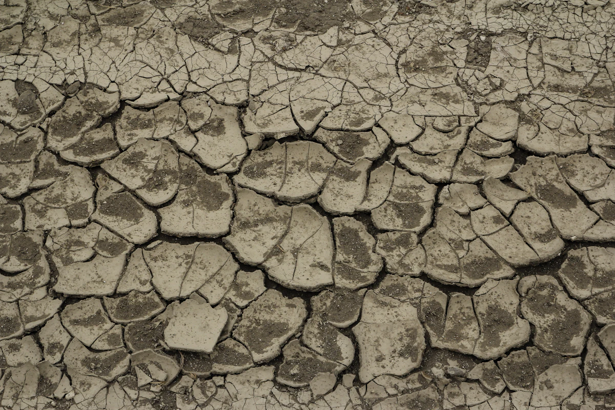 Tierra agrietada por sequía — El Niño en Guatemala