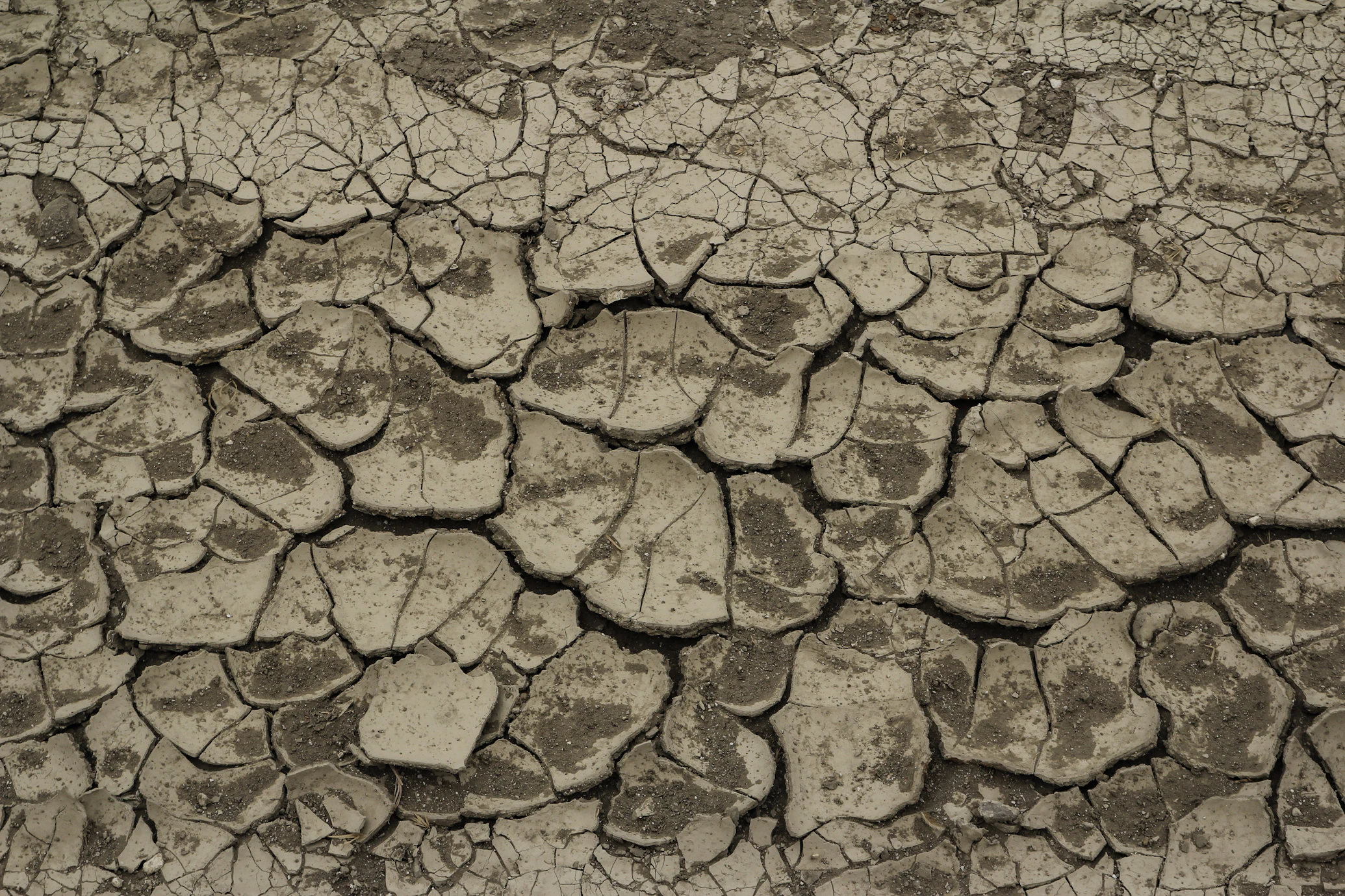 Inside the Index: How GlobMaps Quantifies Drought Risk Across Southeast Asia