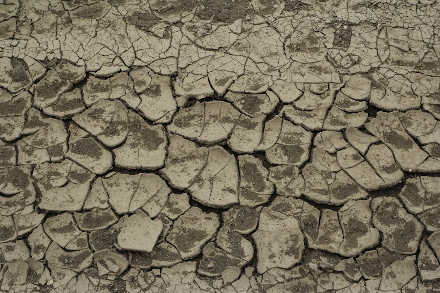 Tierra seca agrietada por sequía