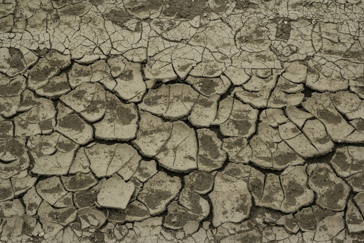 Cracked, dry earth showing the effects of drought