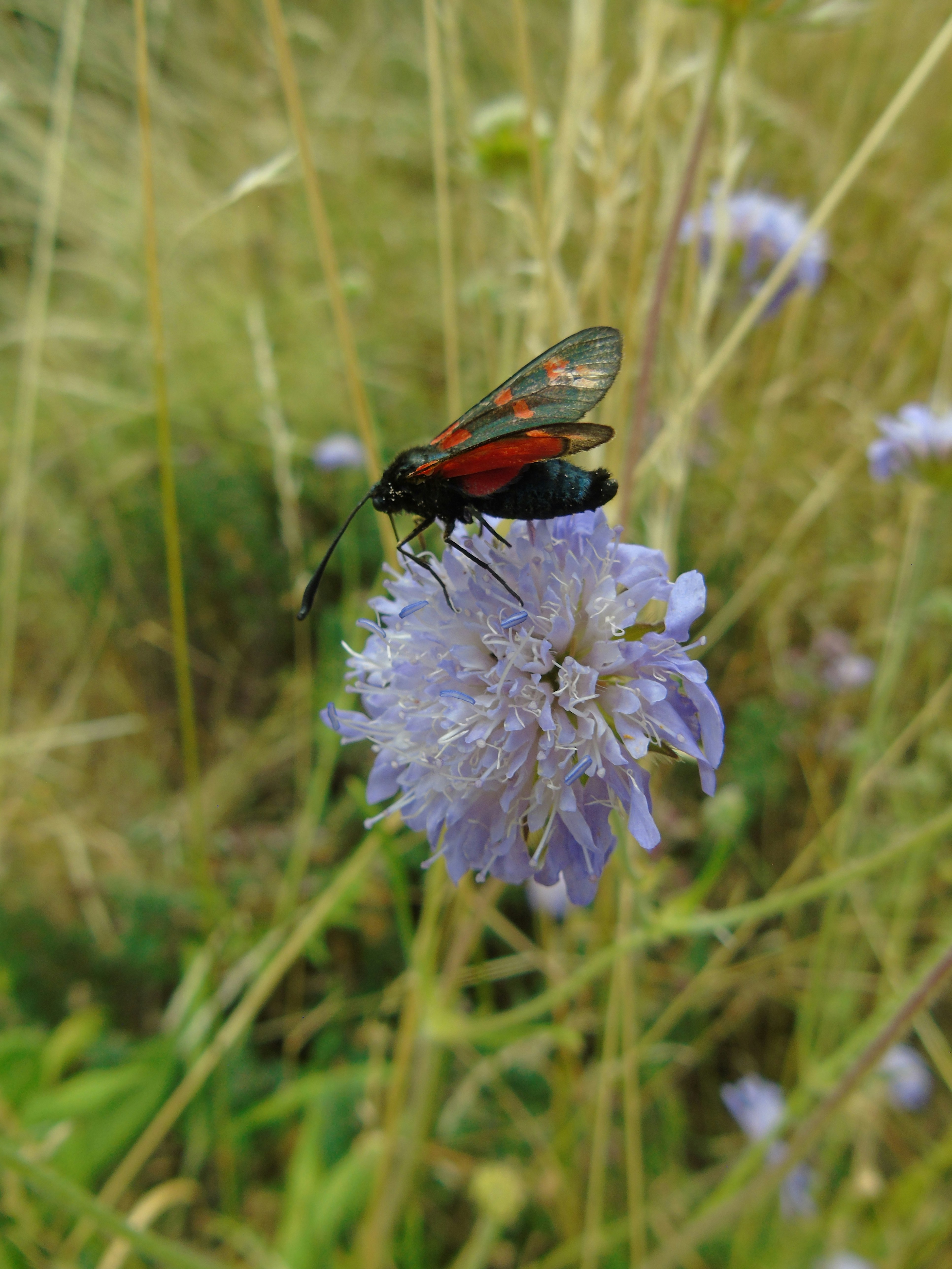 Photo by brookehannah