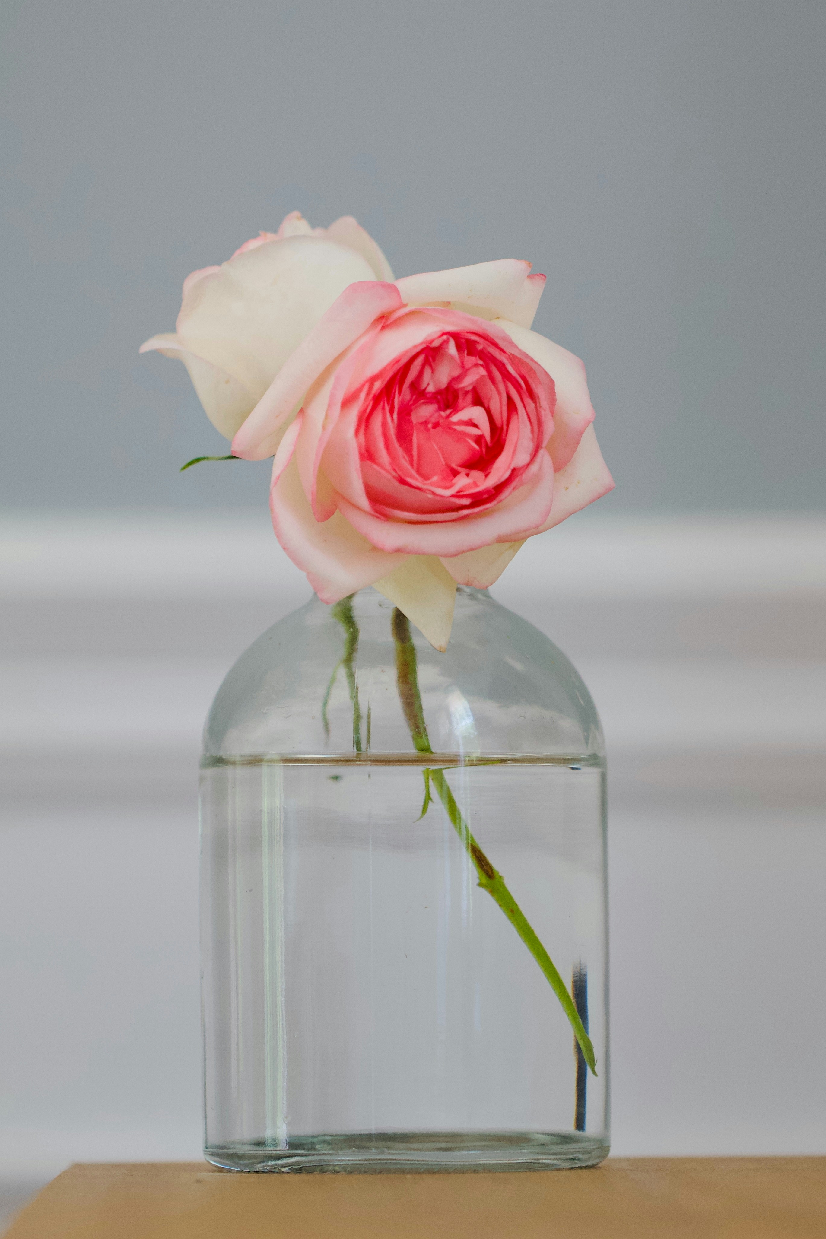 Photo by jasbirvirdi