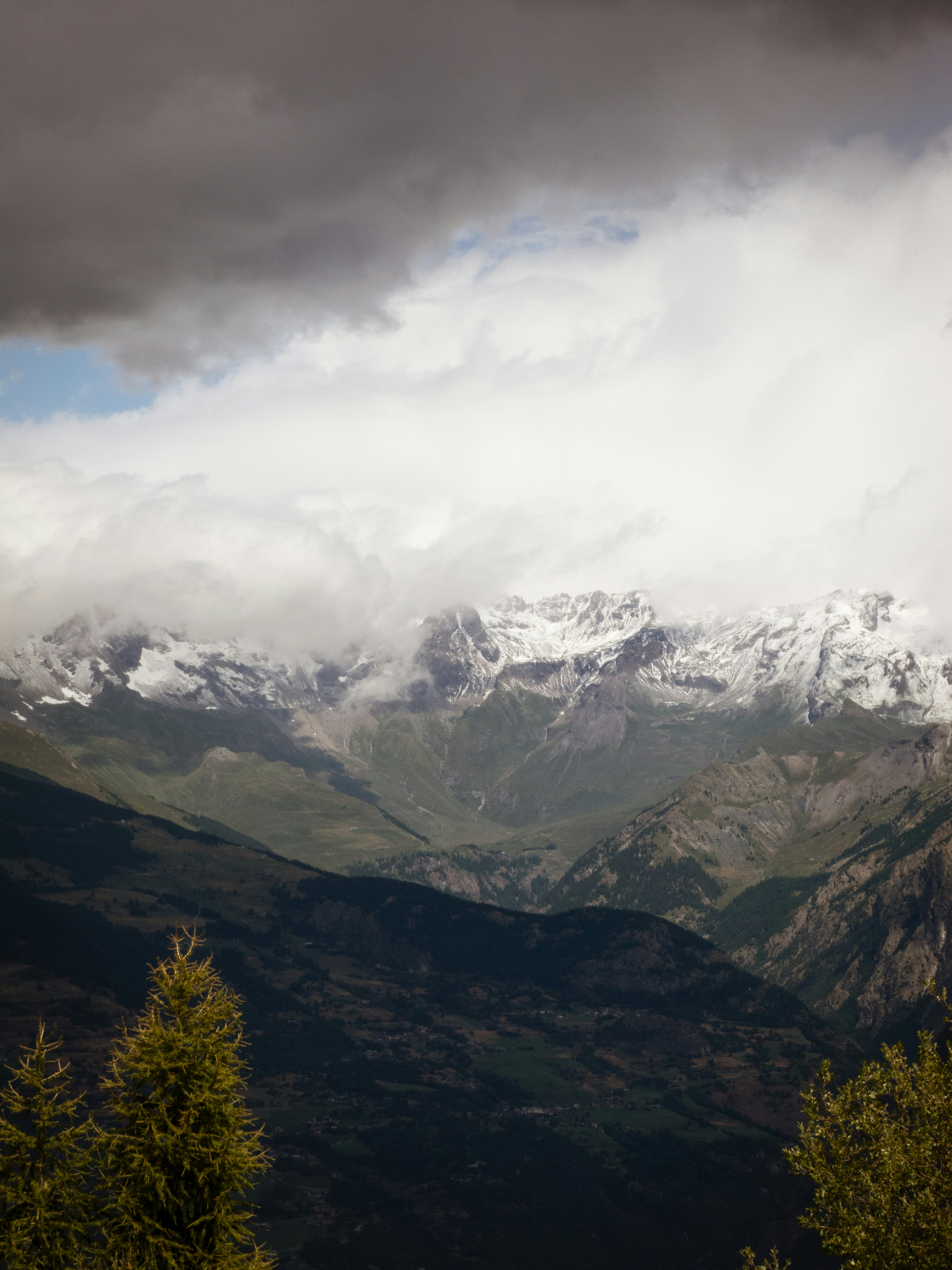 Photo by igorhalfeld