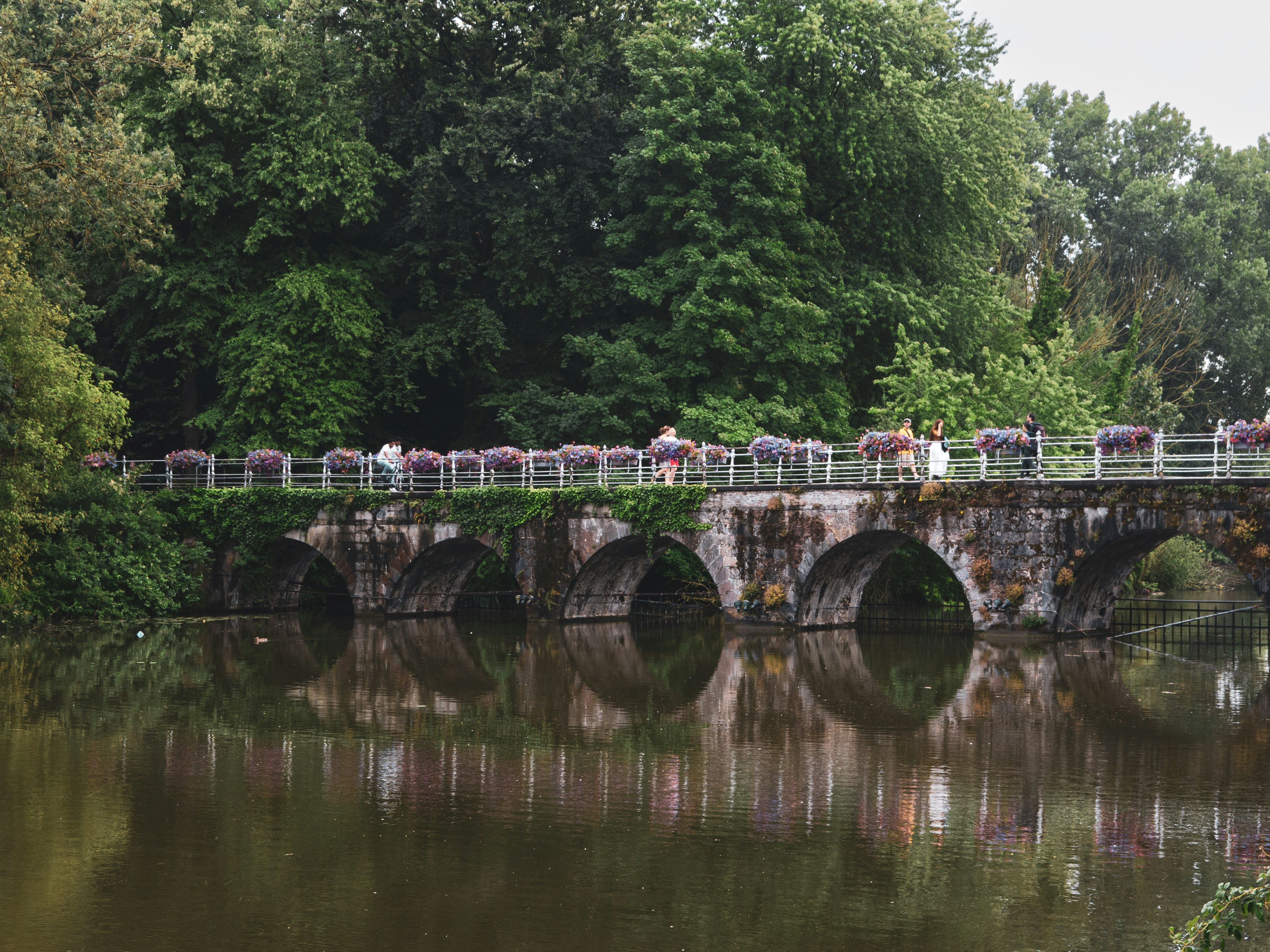 Photo by igorhalfeld