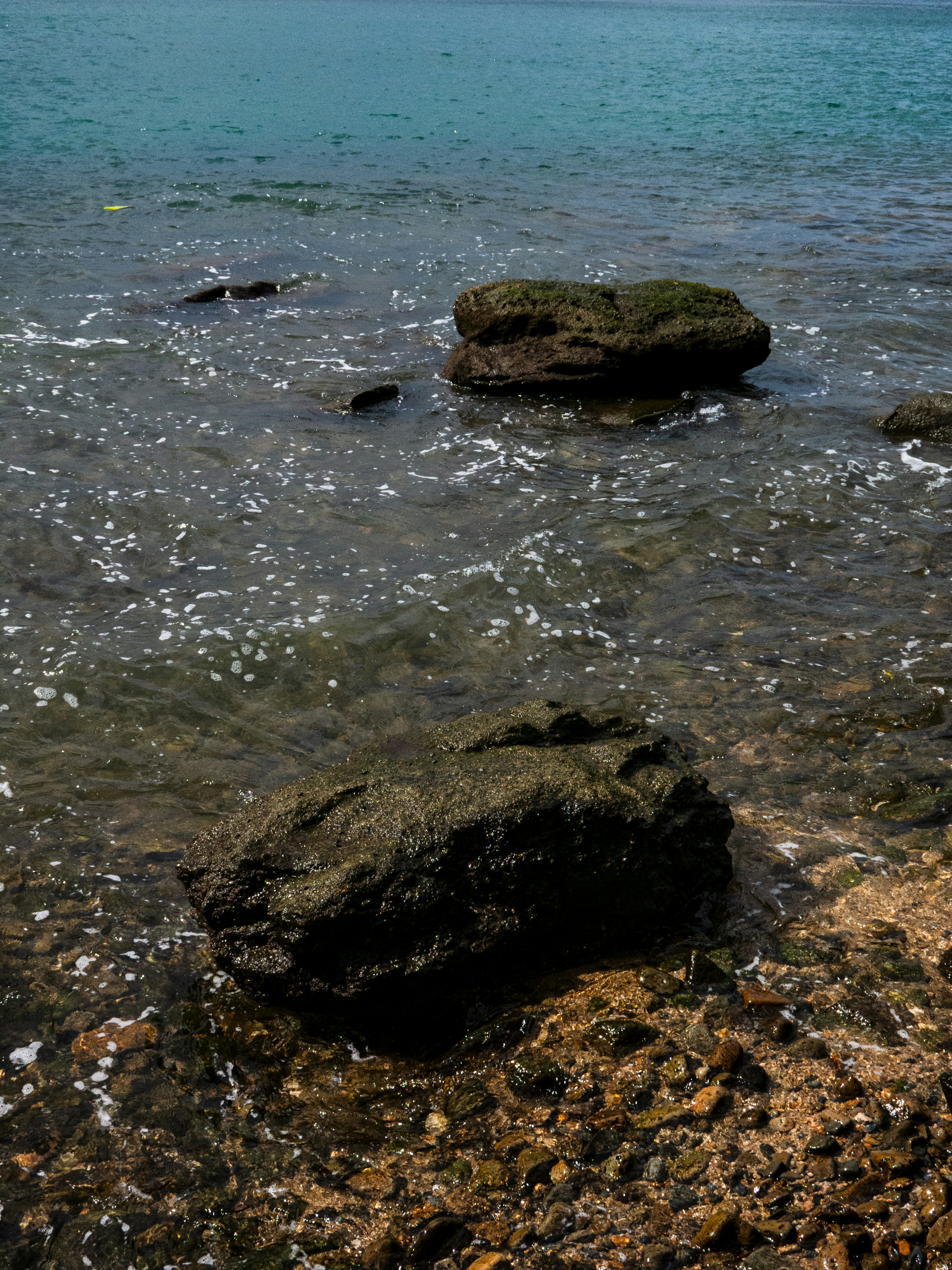 Photo by igorhalfeld