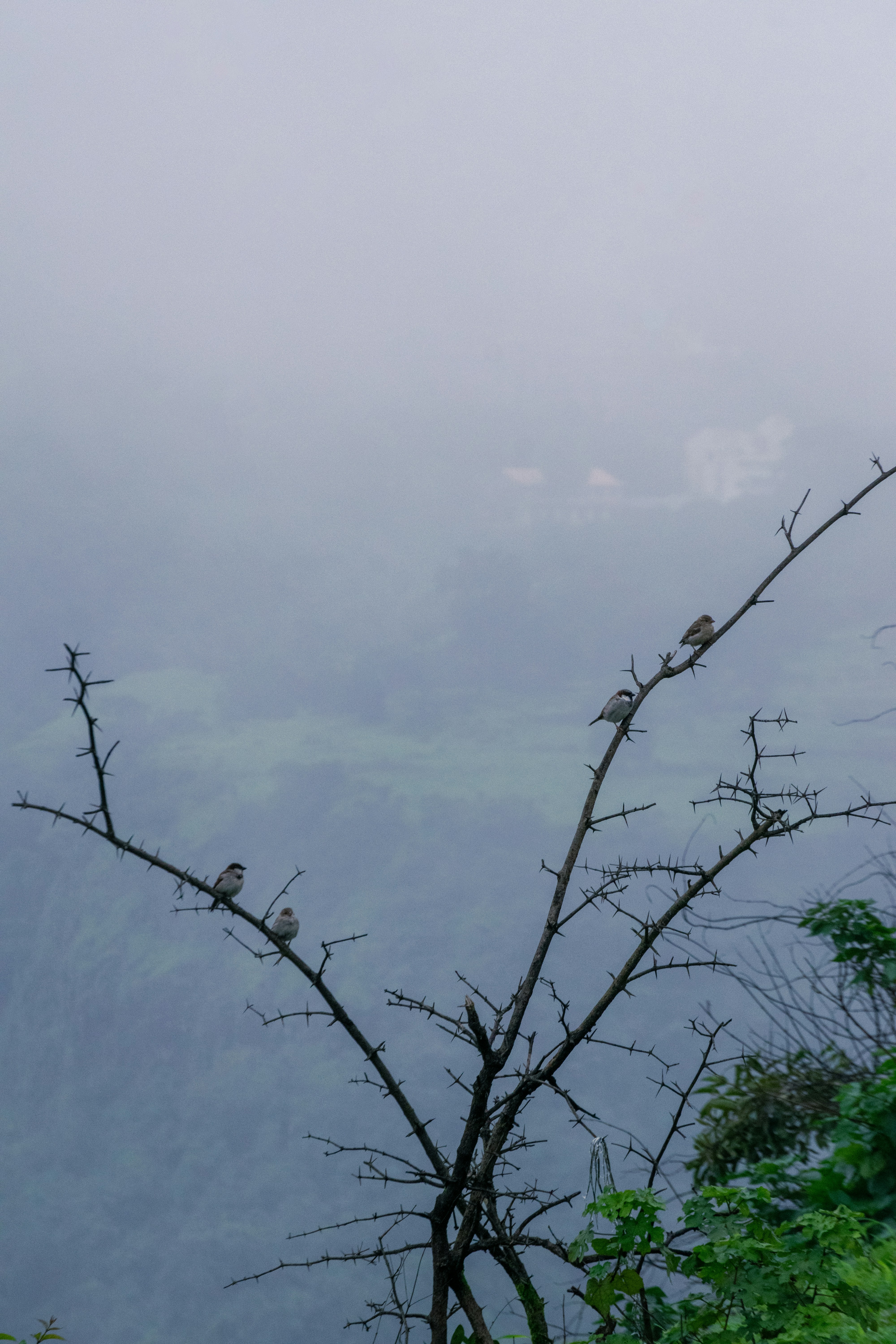 Photo by joejojoestar