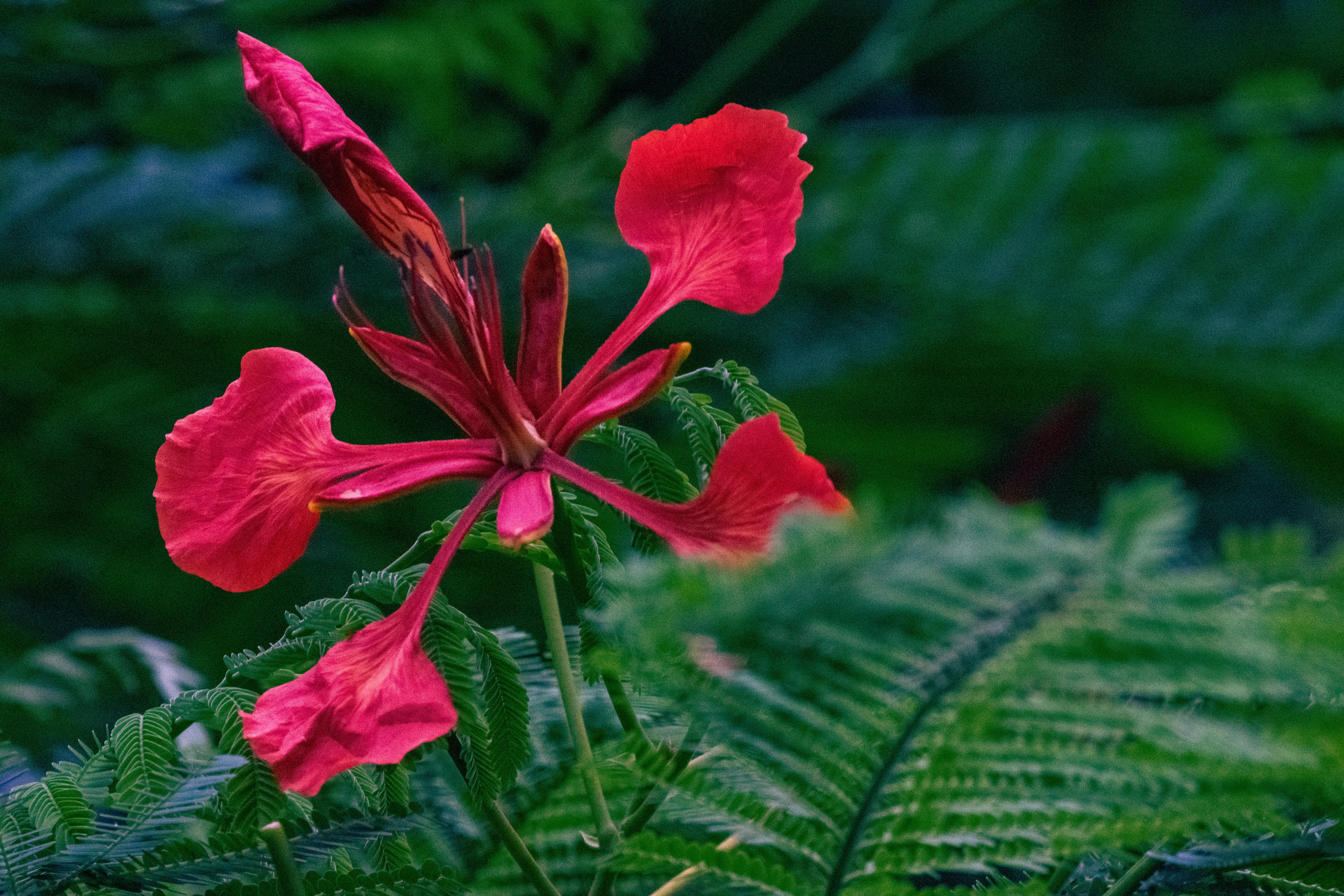 Photo by joejojoestar