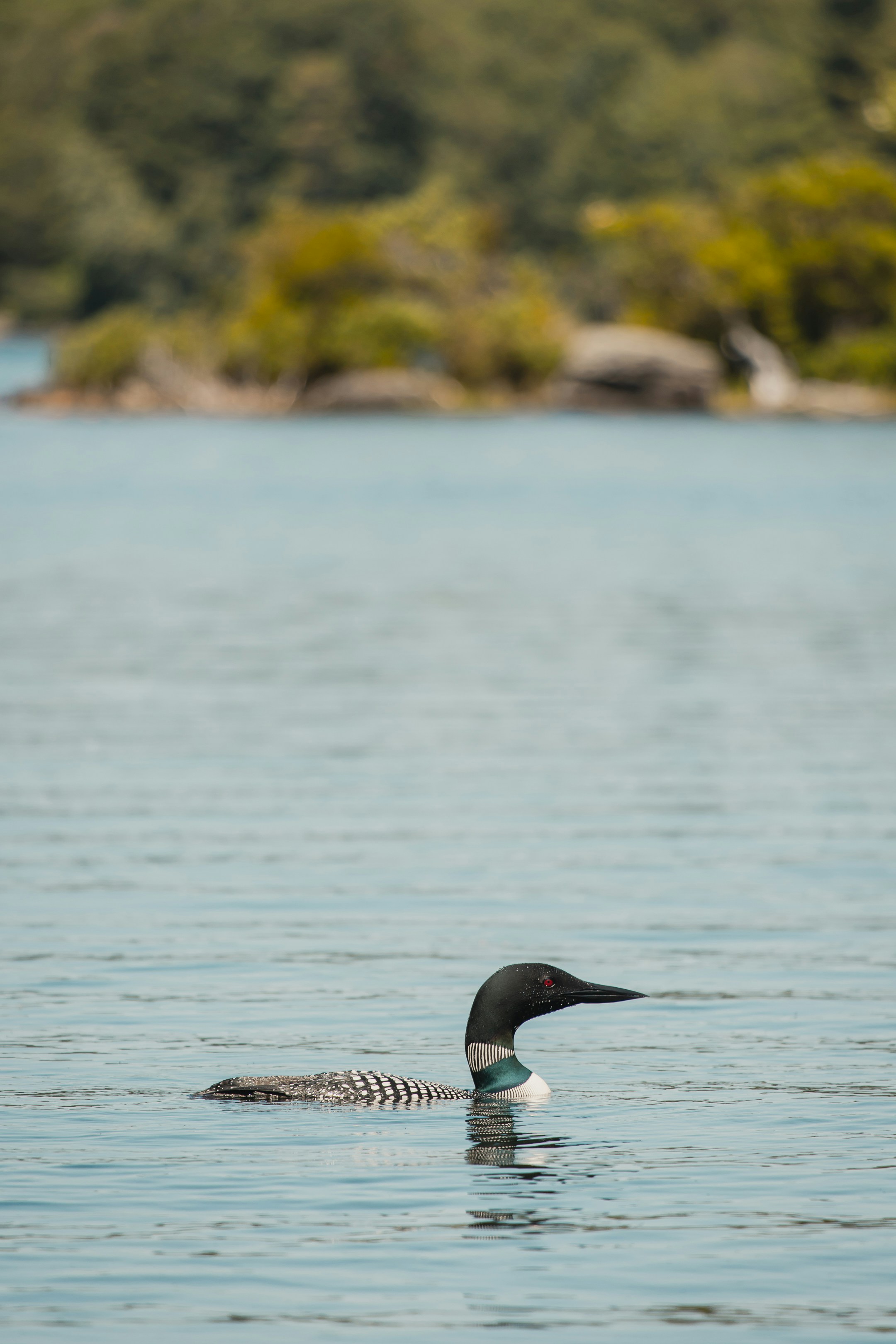 Photo by chrischacon