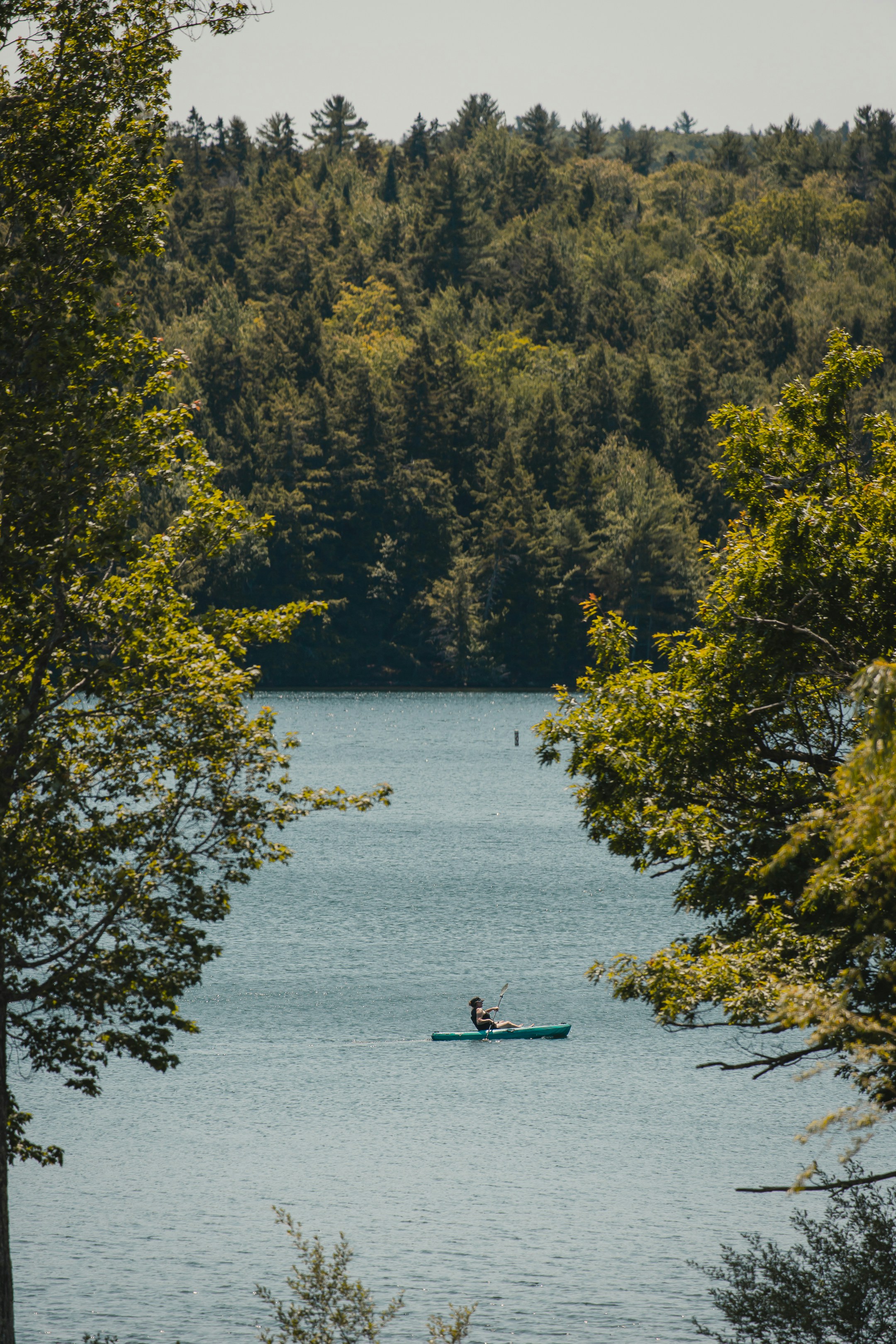 Photo by chrischacon